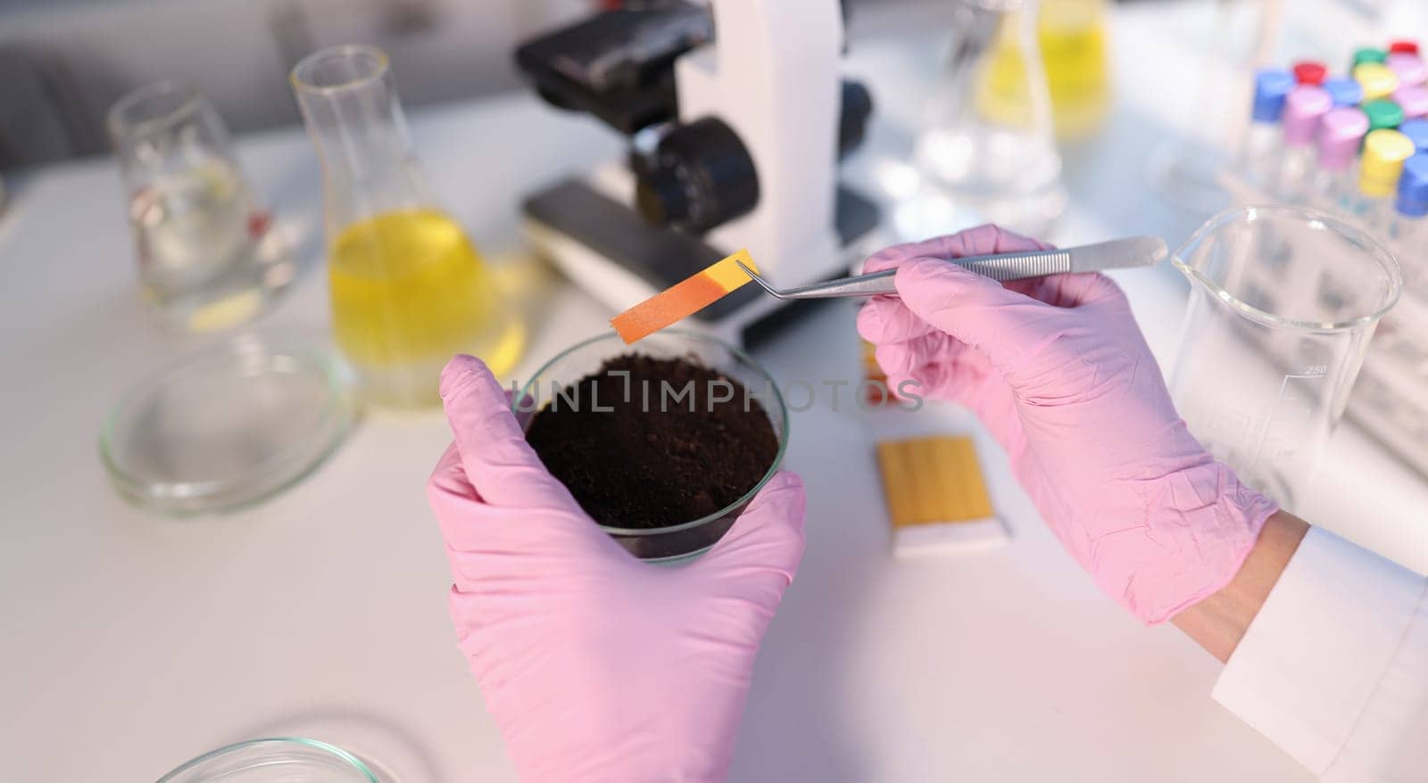 Laboratory analysis of soil. Scientist measures pH of soil sample with litmus strips. Agrochemical soil survey