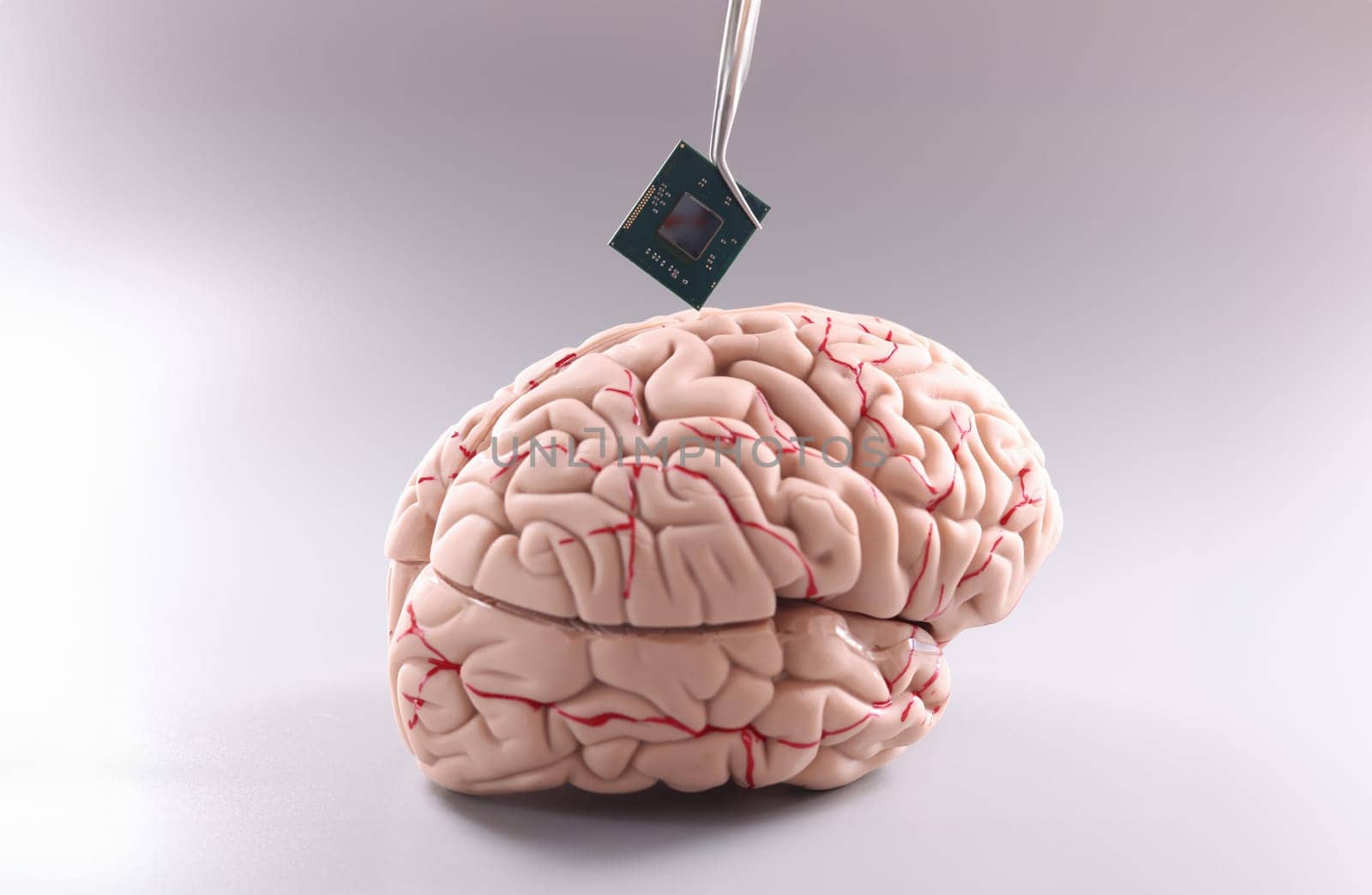 Anatomy of human brain with computer chip. Artificial intelligence chips concept