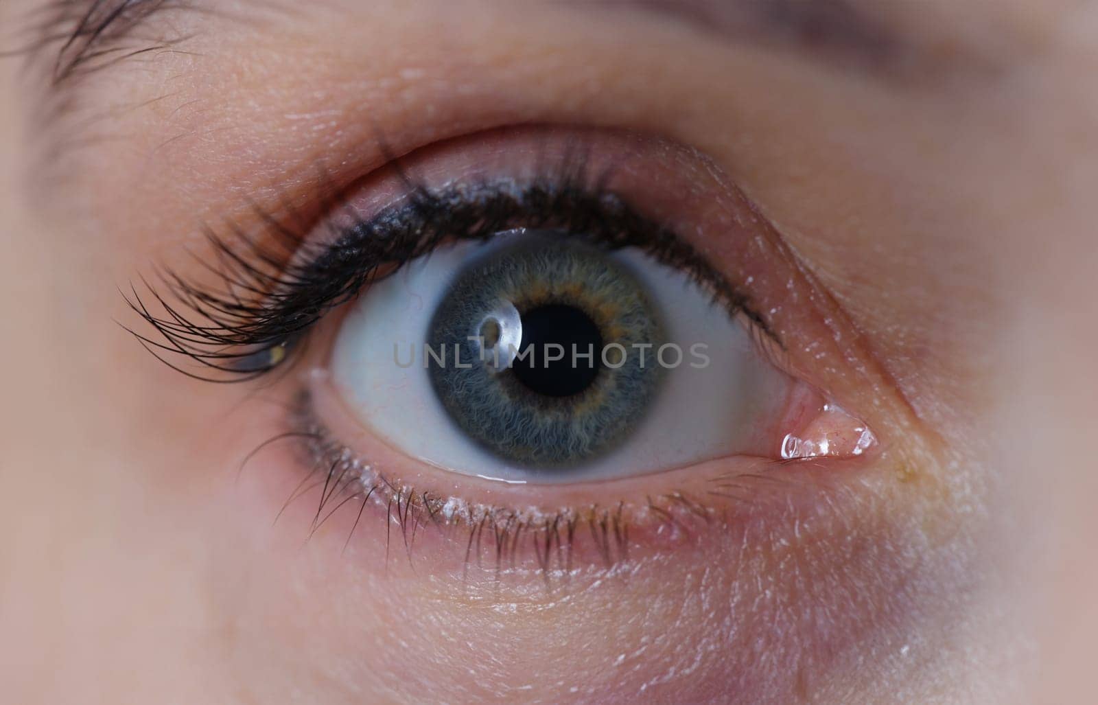 Wide open female eye with gray green pupil and a permanent arrow on eyelid by kuprevich