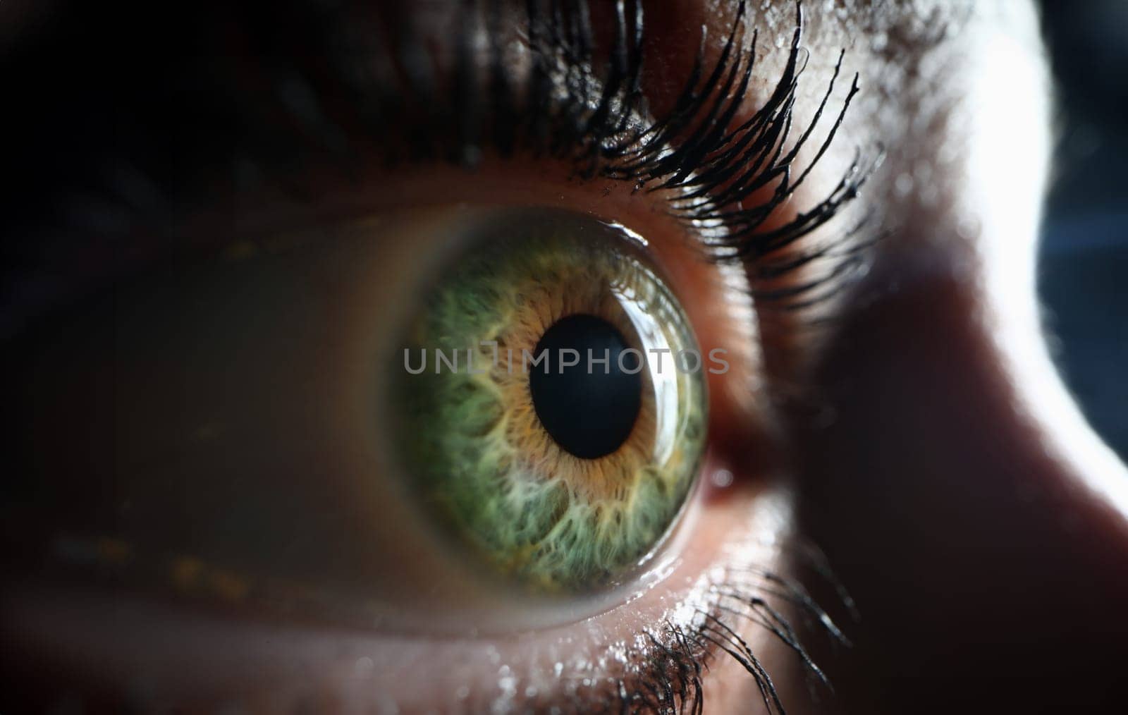 Female one green gray eye closeup. Farsightedness myopia by kuprevich