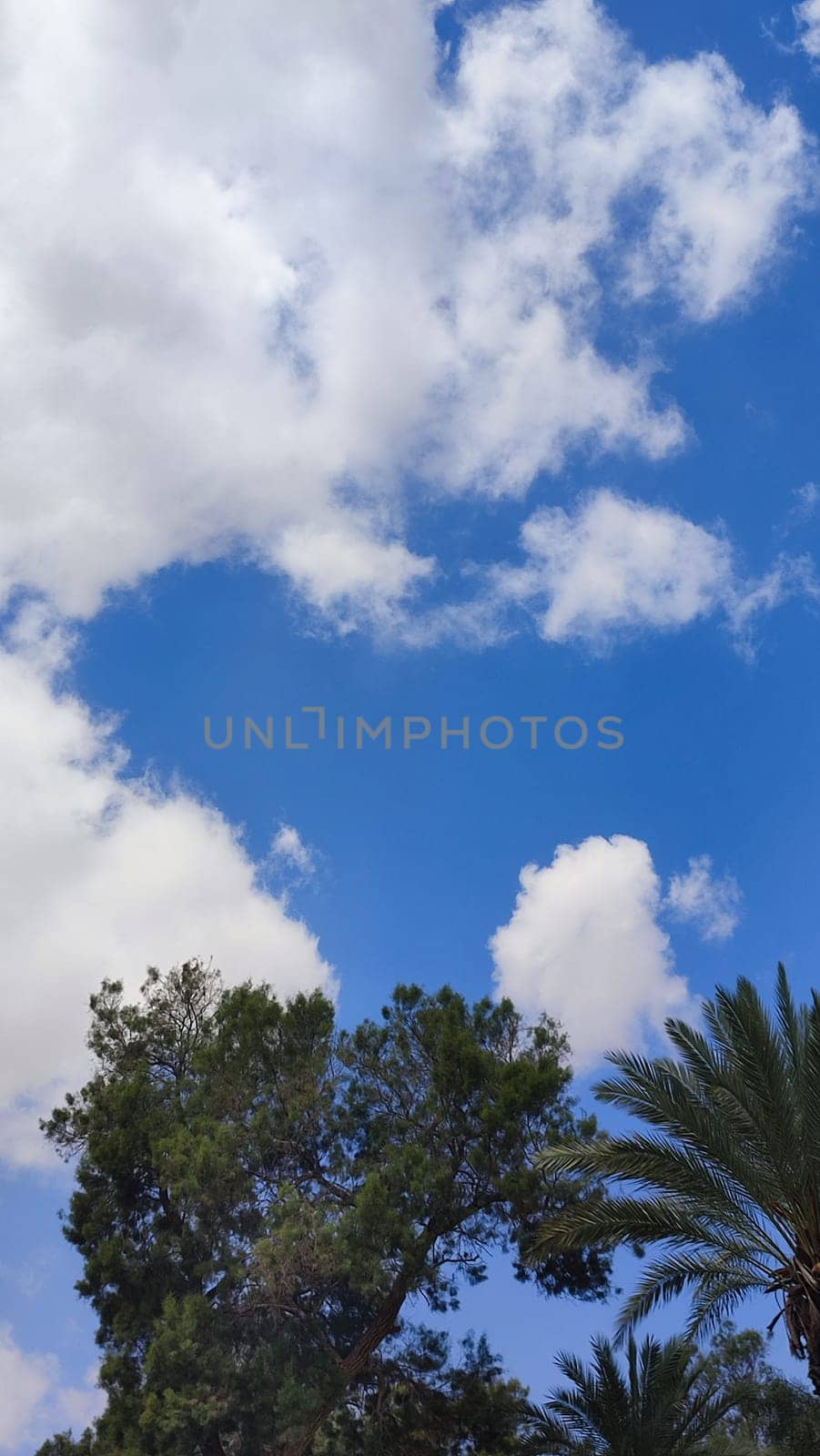 blue sky, white clouds background spring nature weather atmosphere, trees. High quality photo