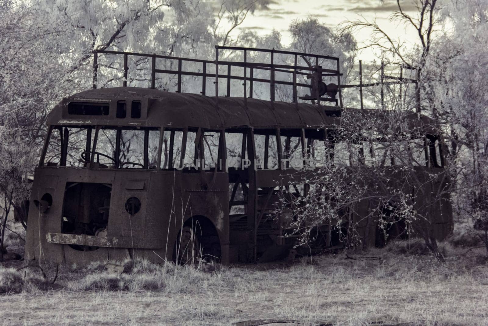 Side view of an abandoned, rusted tour bus in a forest, capture in infrared by StefanMal