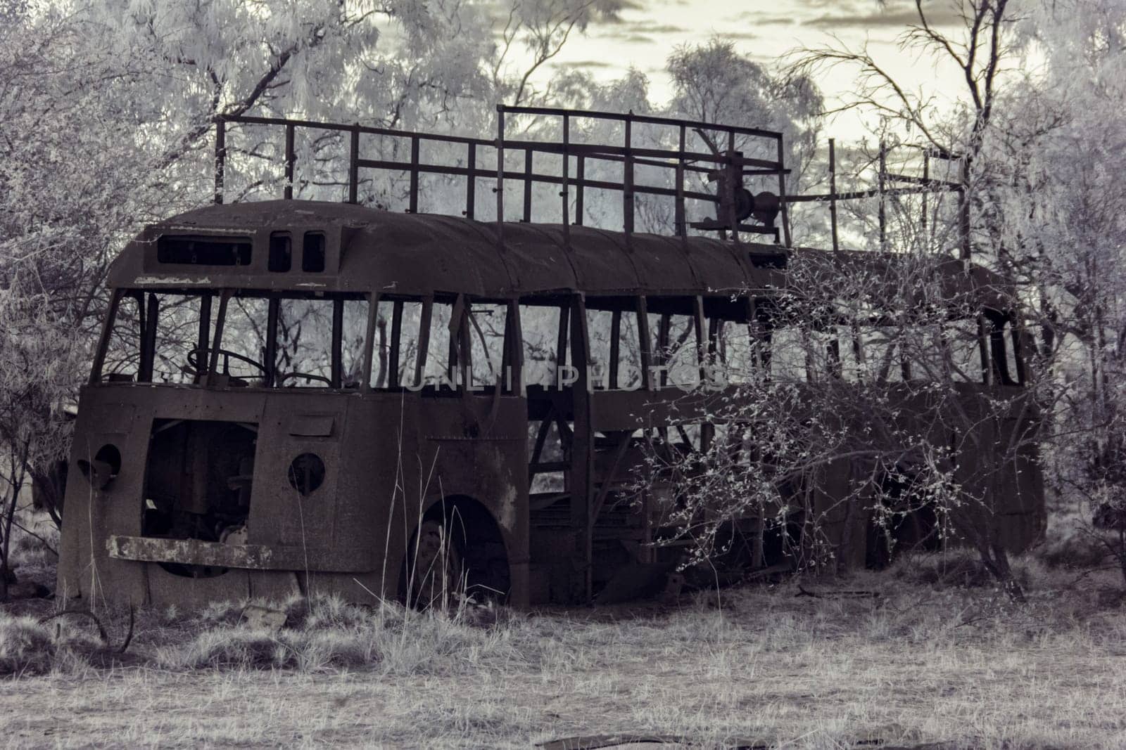 Infrared wavelength photo of a derelict bus abandoned in the Australian outback, surrounded by overgrown trees and grasses.