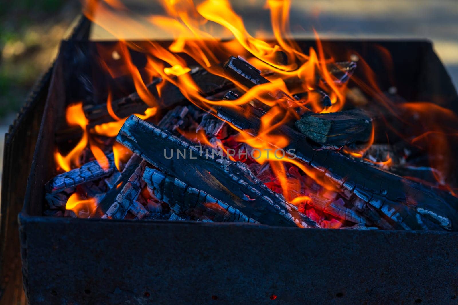 Burning wood chips to form coal. Barbecue preparation, fire before cooking.