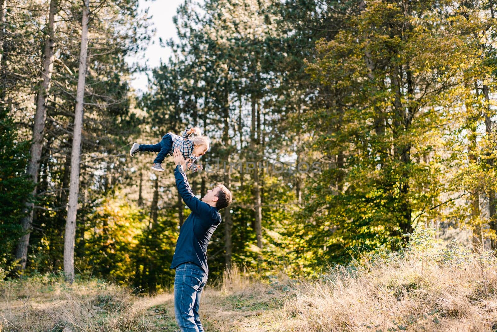Dad throws up a laughing little girl on a sunny lawn in the forest. High quality photo