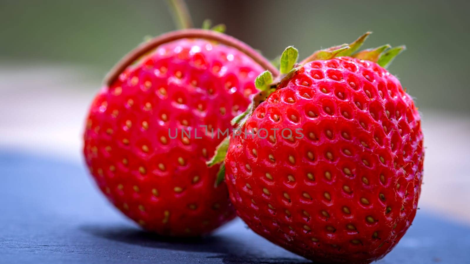 Close up of fresh strawberries showing seeds achenes. Details of fresh ripe red strawberries.