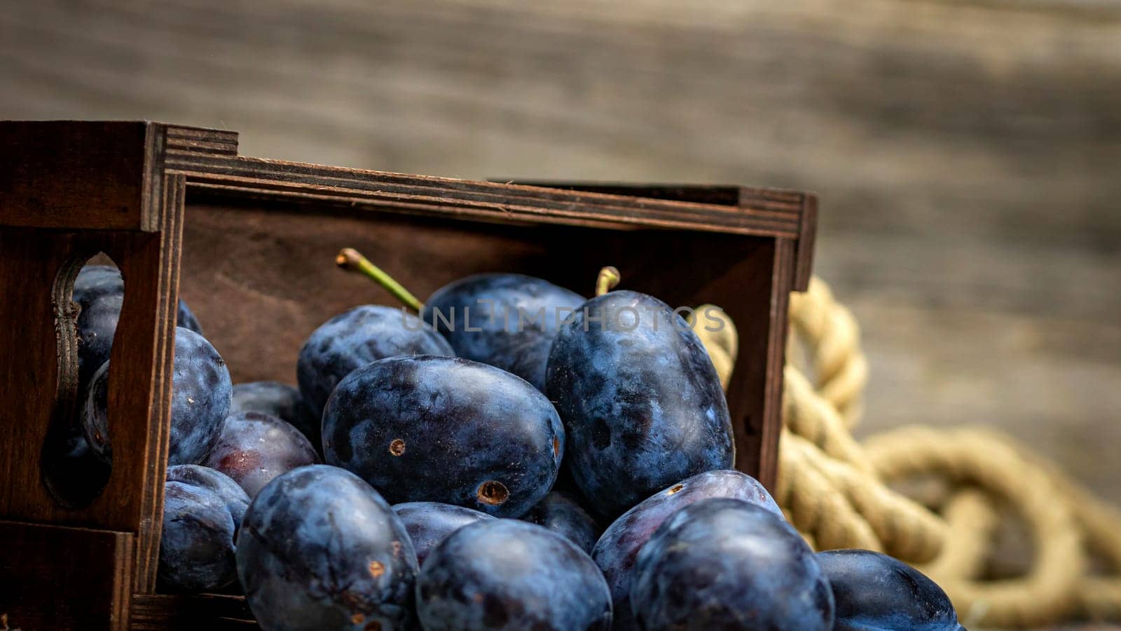 Ripe blue plums in a wooden crate in a rustic composition.
