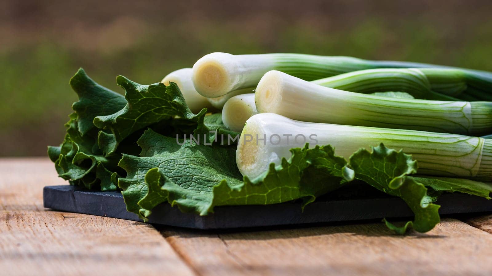 Close up of details of fresh green onions (scallion) and green lettuce on a cutting board isolated. by vladispas