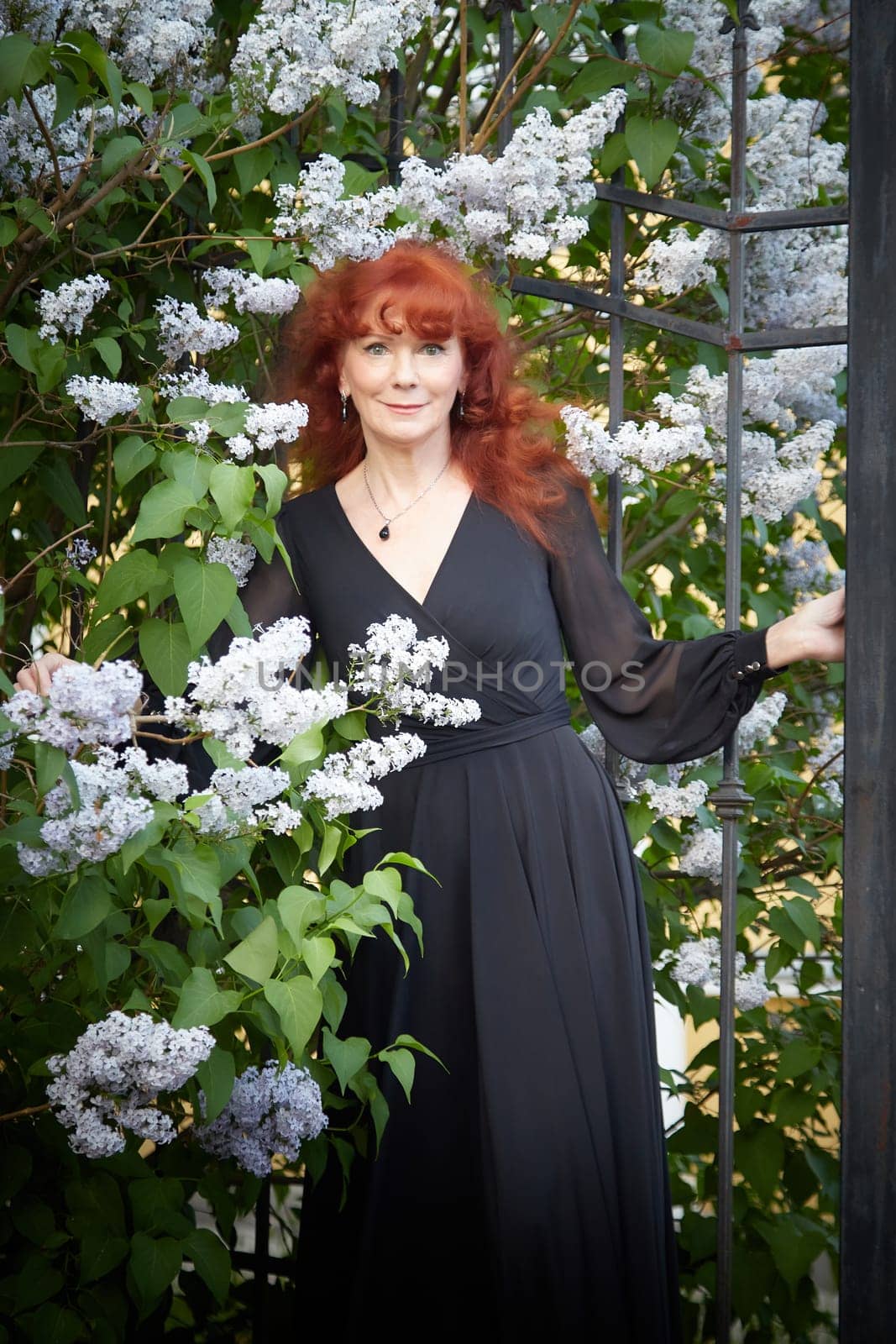 Elegant senior mature Woman in Black Dress by Blooming Lilac Bush at Dusk. Woman with red hair stands poised among lilac blooms