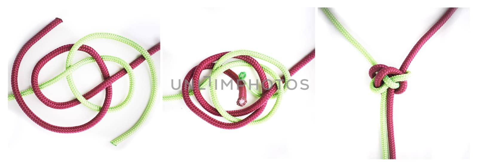 Knot, cords or how to tie ropes on white background in studio for security or instruction steps frame. Material, safety or color design for technique, gear tools or learning for survival guide lesson by YuriArcurs