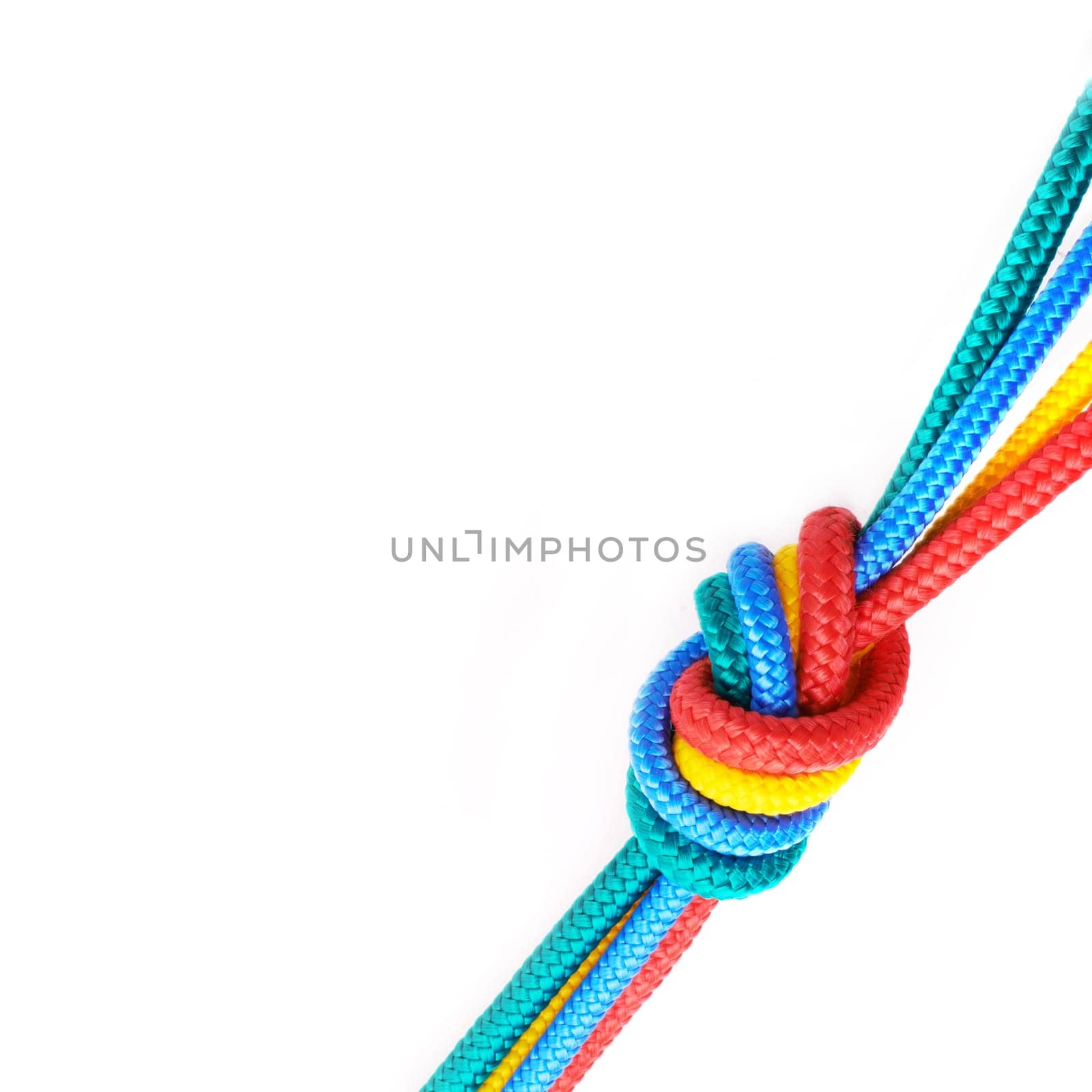 Rope, ties and connection of color in knot or braid on white background in studio for solidarity. Security, cord and abstract unity of rainbow society with ties together in collaboration of community by YuriArcurs