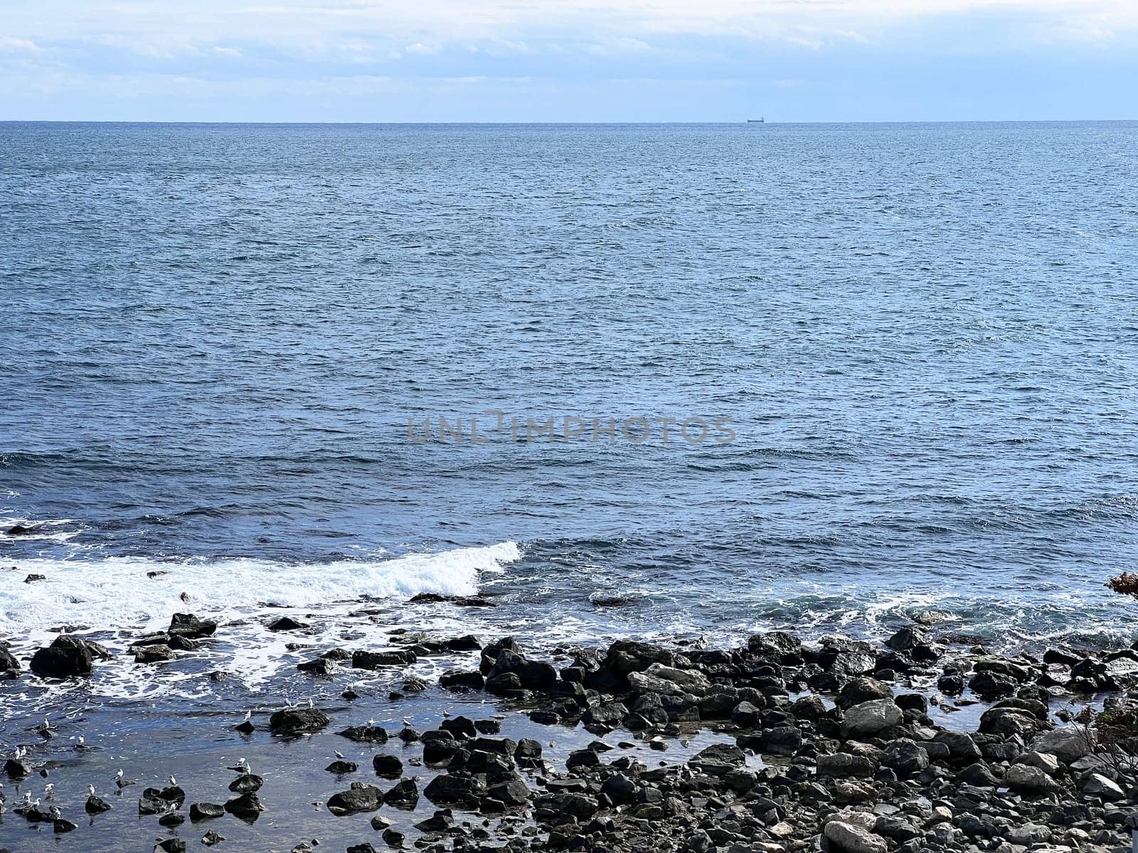 coast line at akita in mid summer by padgurskas