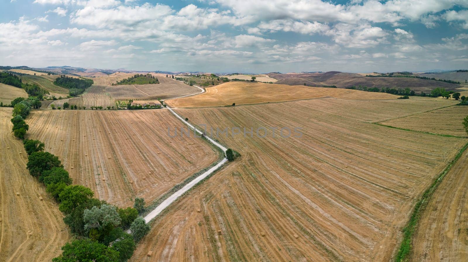 Road lined with Cypress trees leading to a farmhouse. Tuscany, Italy