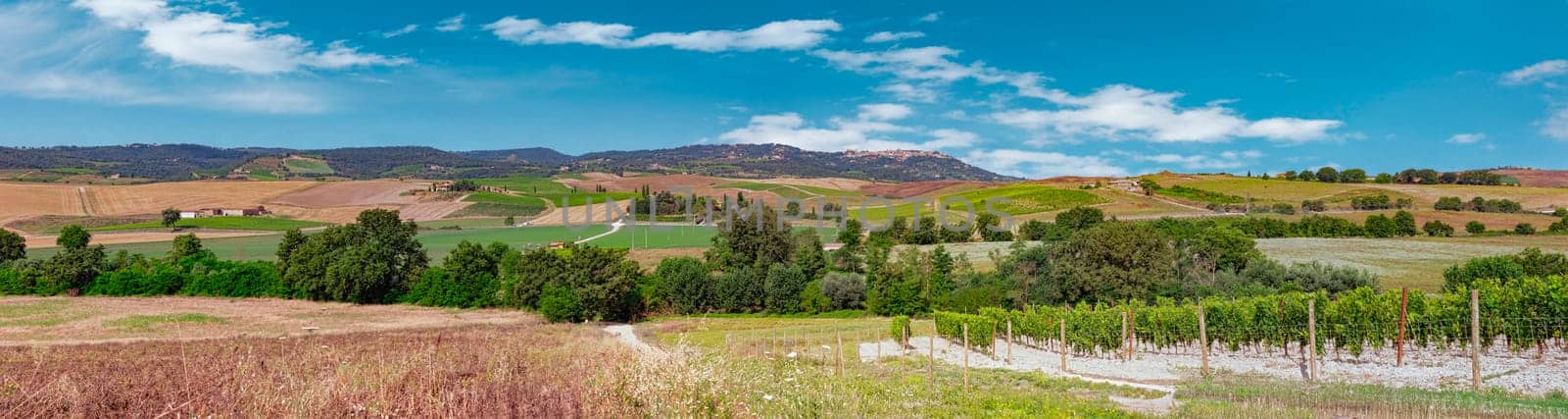 Panorama of Tuscany, hills and fields. Italy, Europe by mot1963