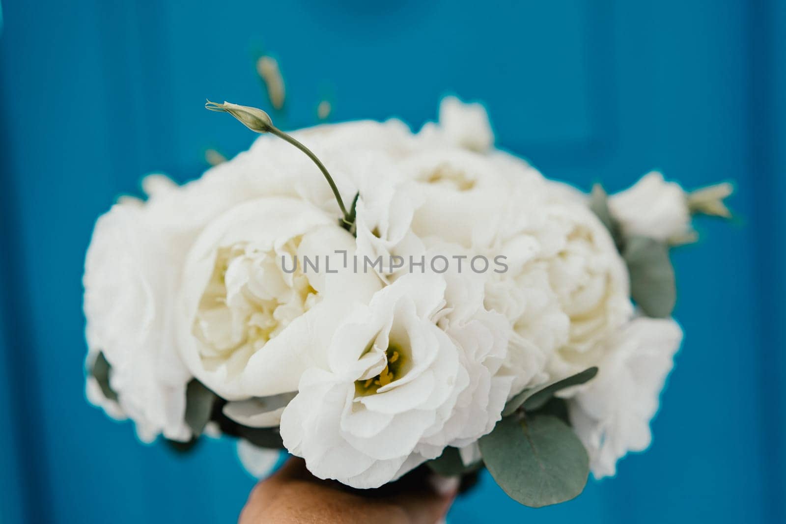 A bouquet of white flowers is being held by a person. The flowers are arranged in a vase and are placed on a blue background. The bouquet has a simple and elegant design