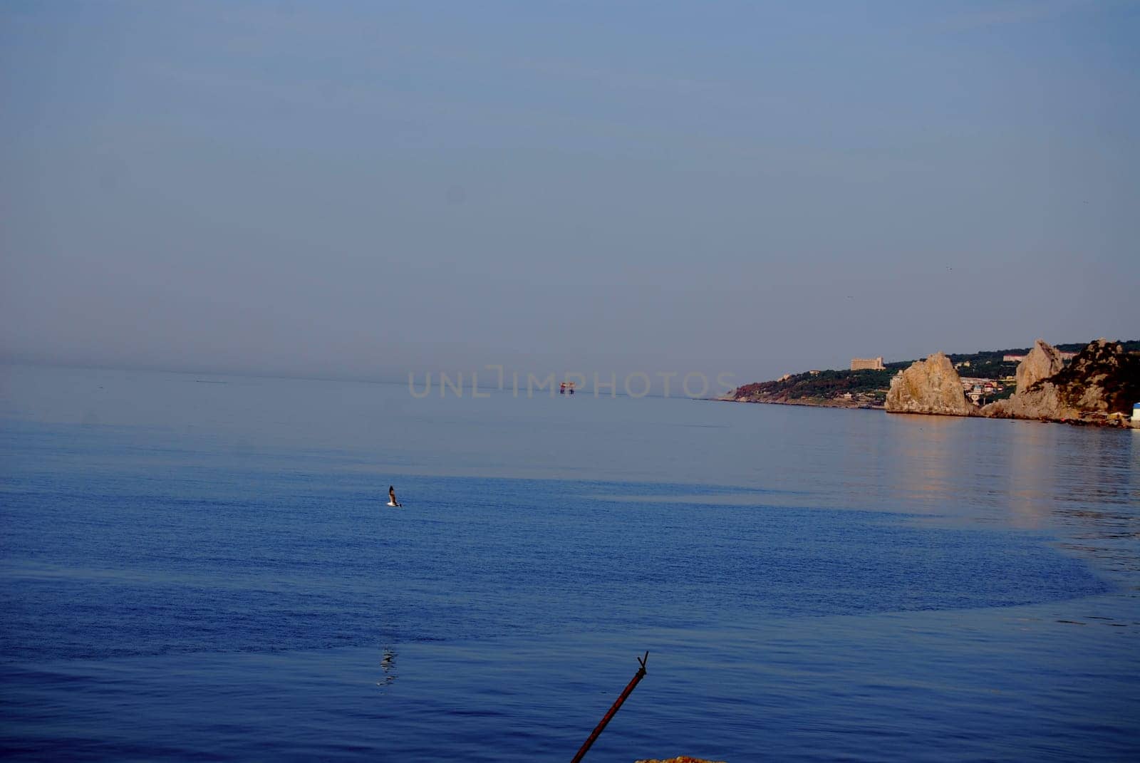 A seagull flies over the surface of the blue water, and a cape is visible in the distance.