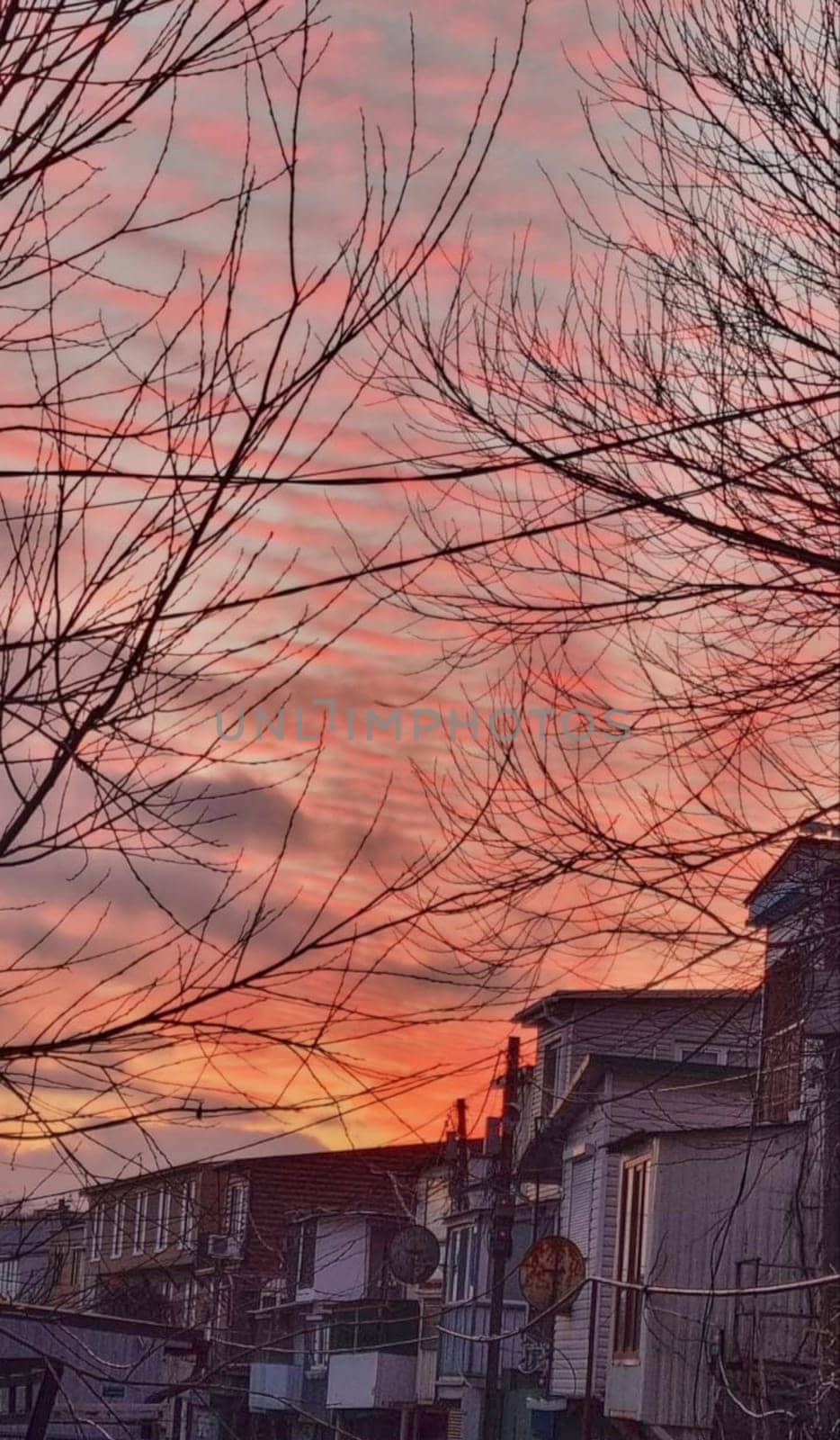 The sun illuminates the elongated clouds in red.