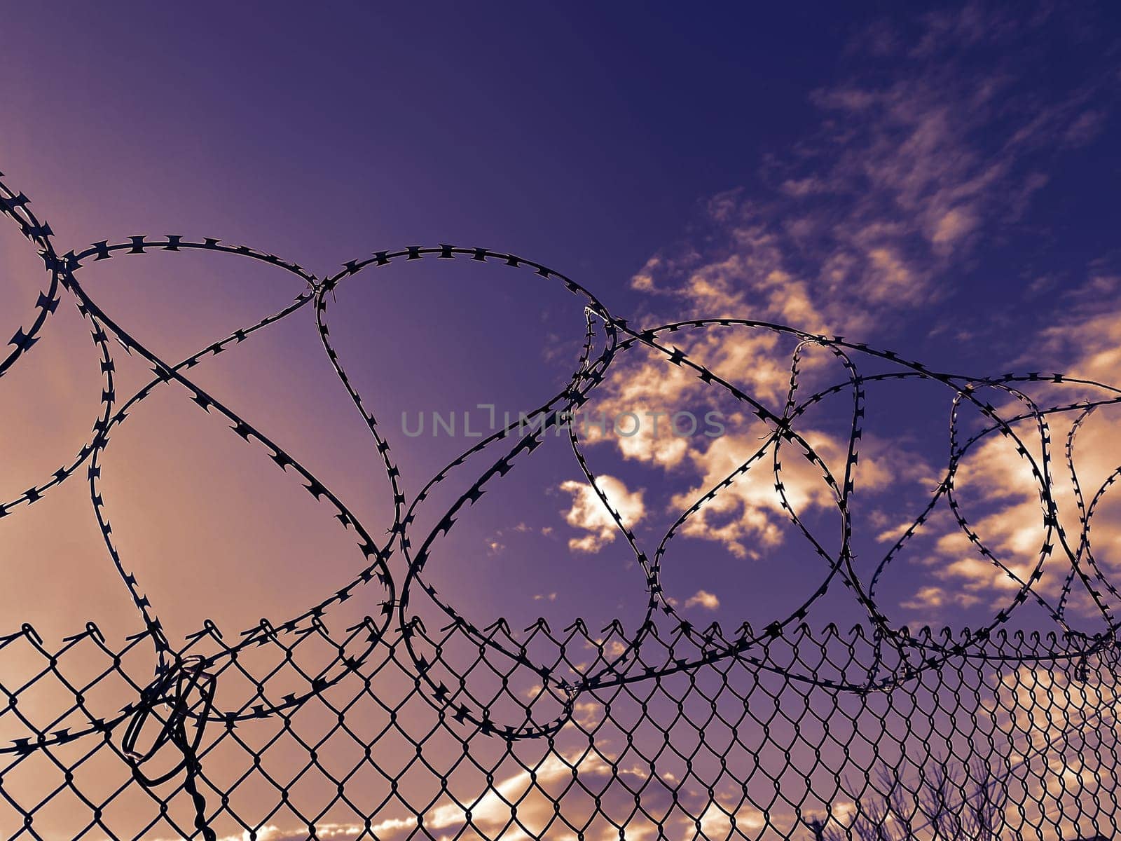 Barbed wire fence. Stretched and wound metal wire. Concept of injustice, prison, restriction of rights and freedoms. by Proxima13