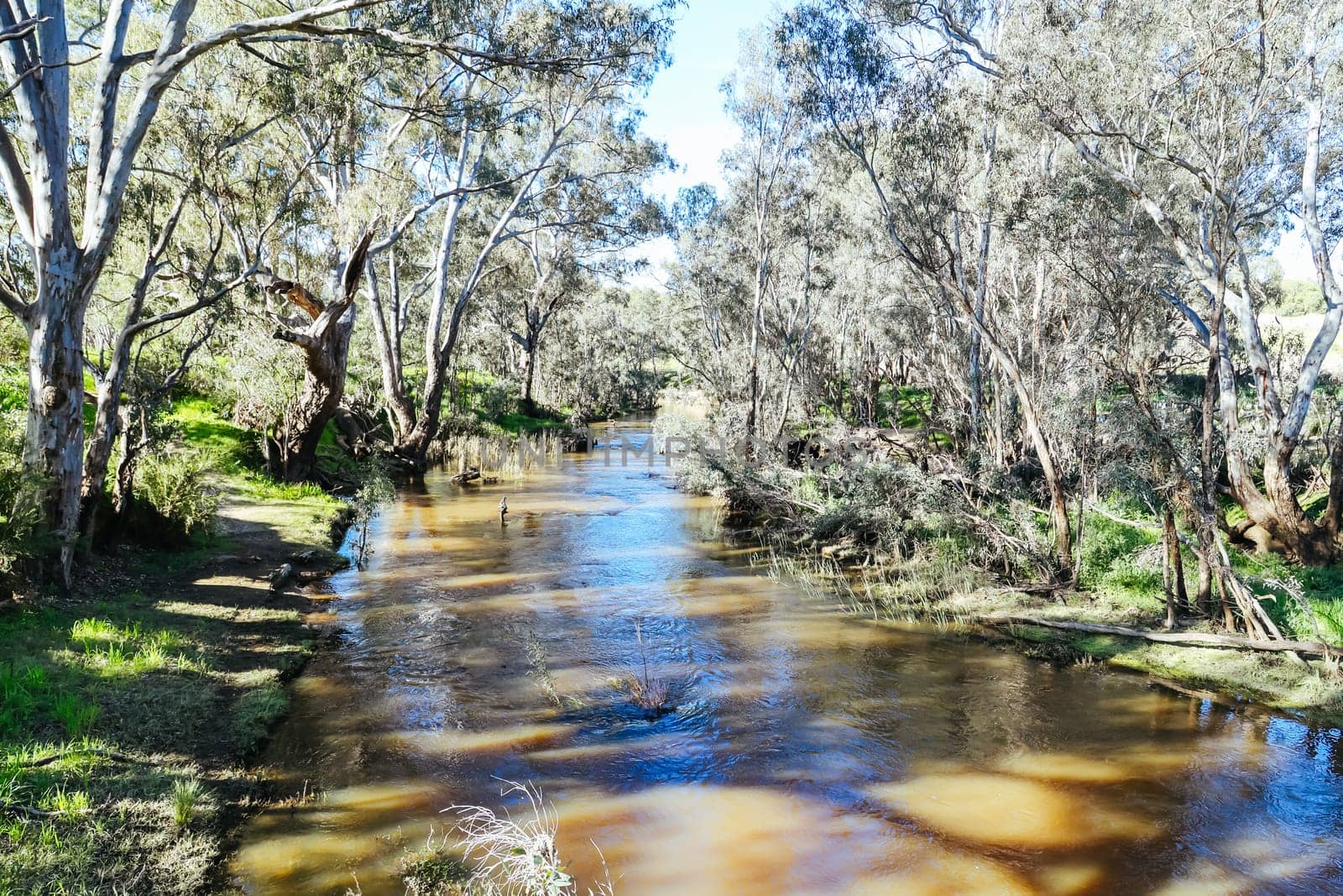 River landscape on the Campaspe River during the afternoon near Axedale in Victoria, Australia.