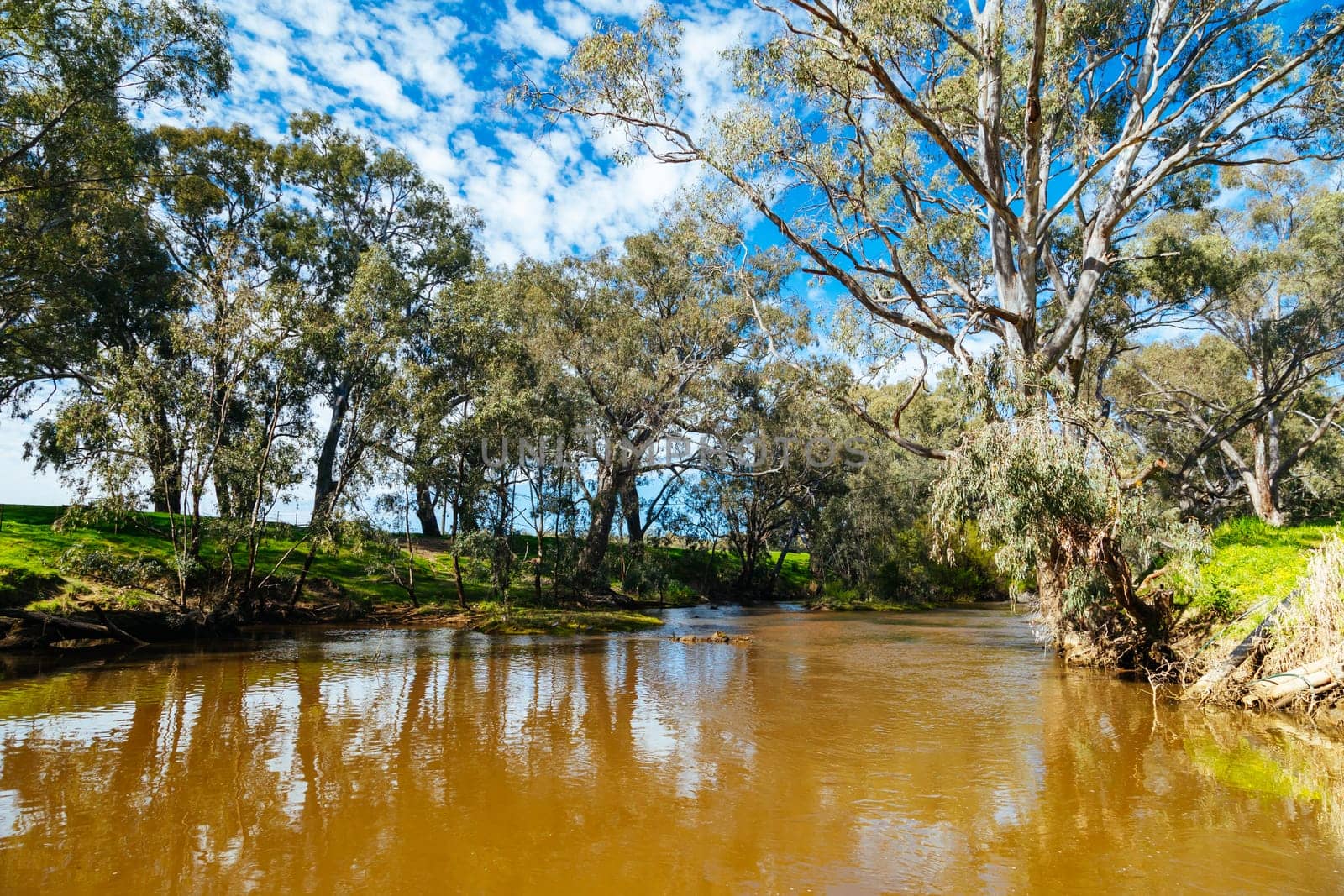 Campaspe River in Axedale in Australia by FiledIMAGE