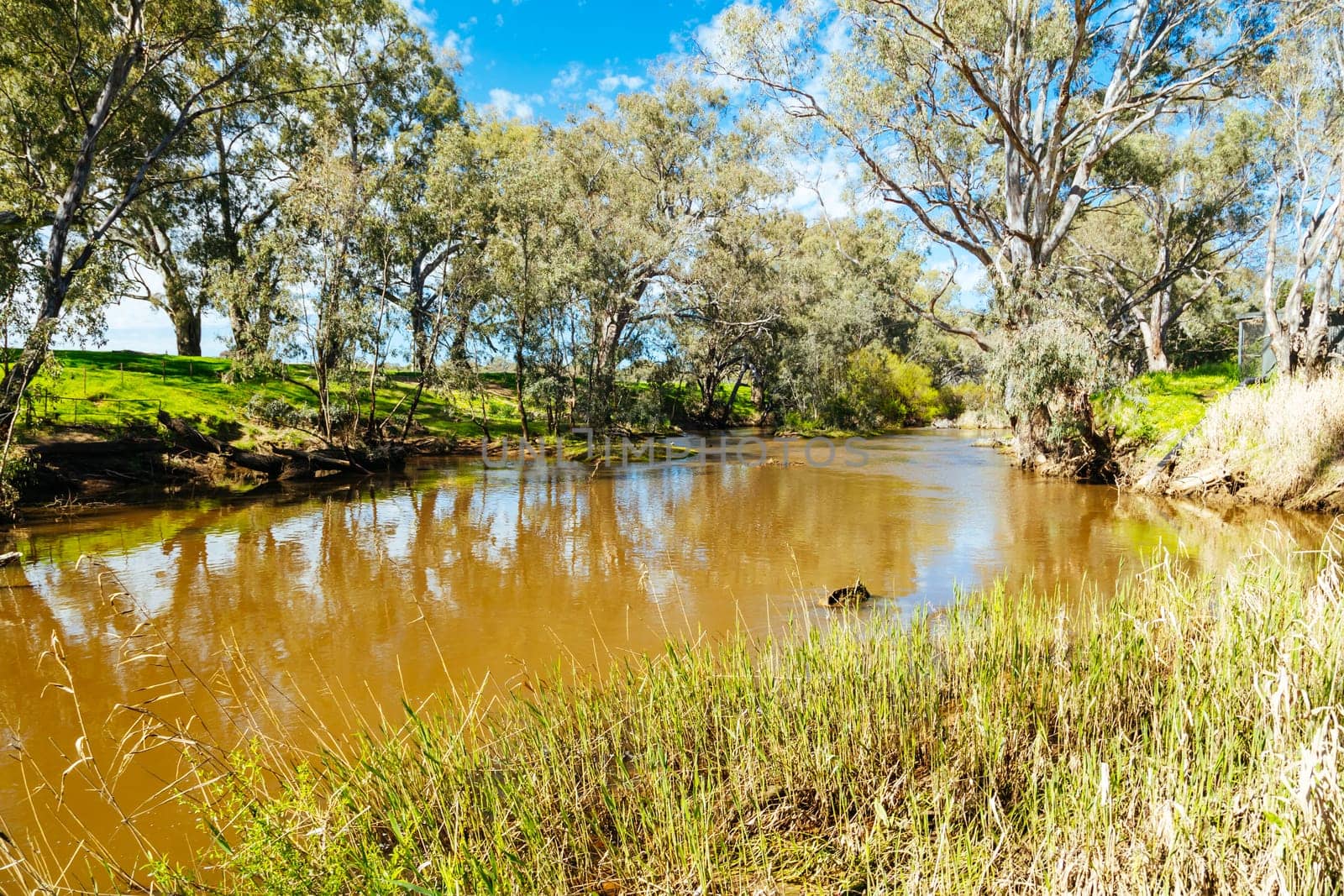 Campaspe River in Axedale in Australia by FiledIMAGE