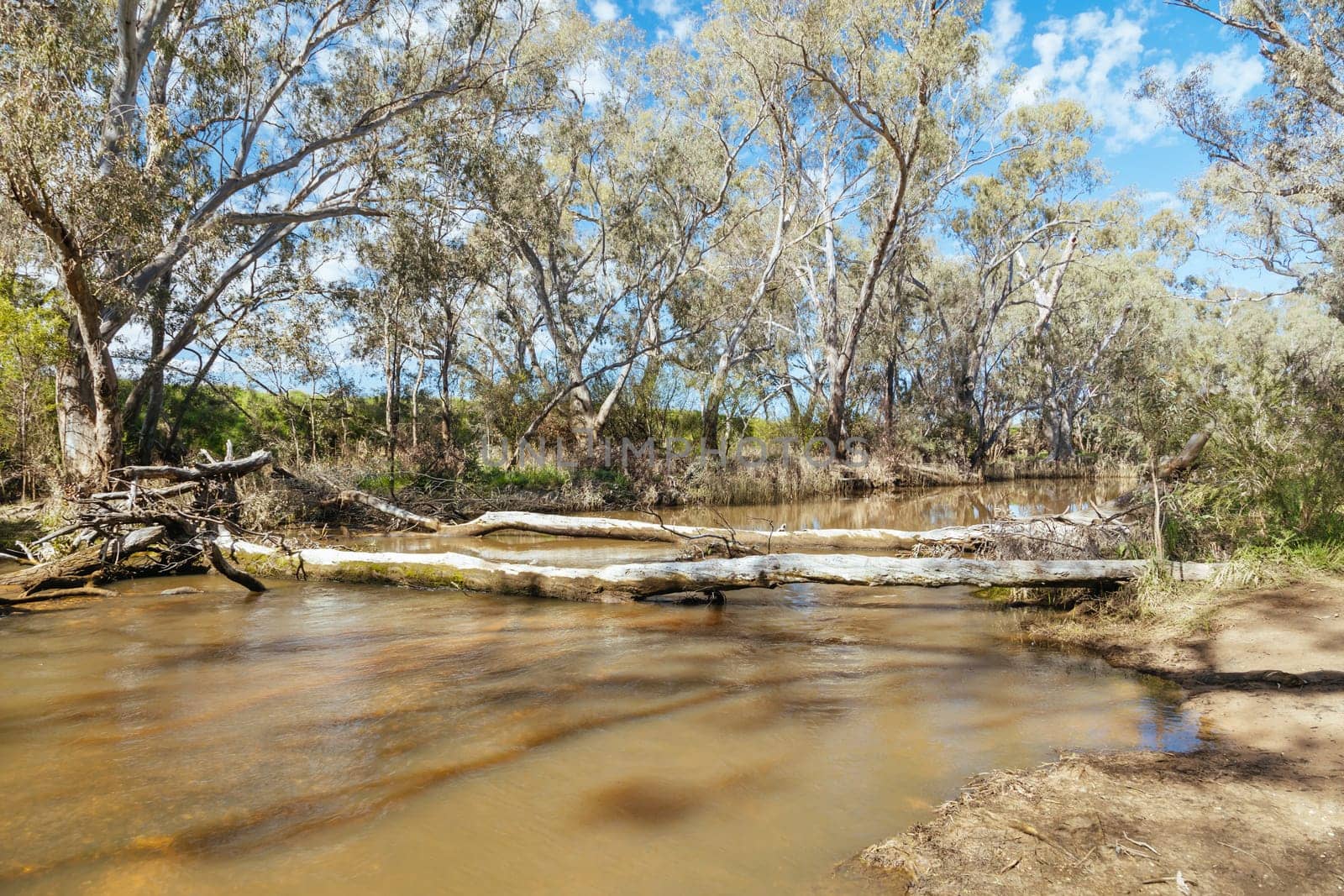 Campaspe River in Axedale in Australia by FiledIMAGE
