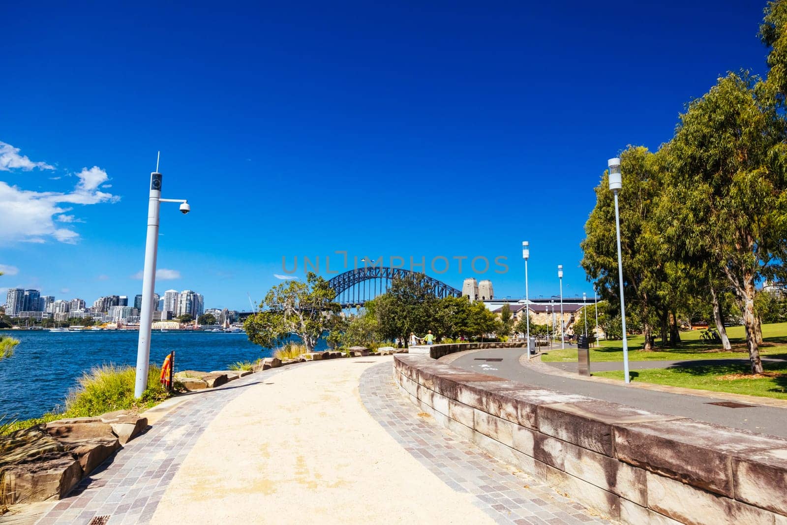 Sydney Harbour and Barangaroo Reserve in Australia by FiledIMAGE