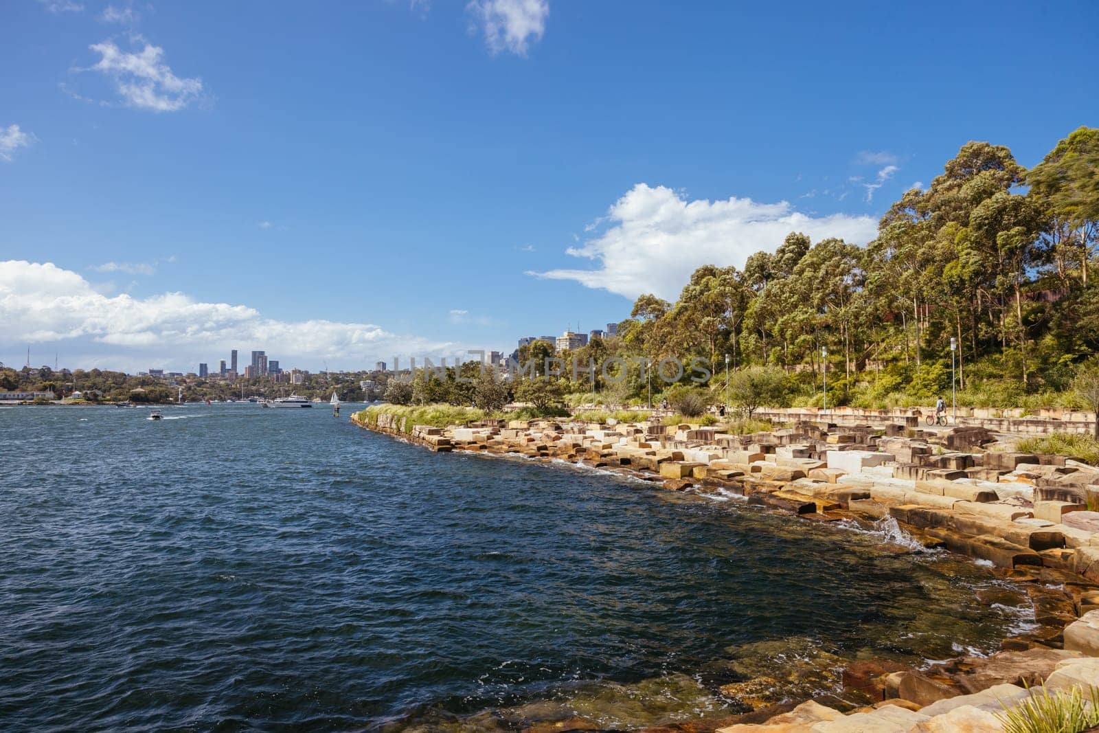 SYDNEY, AUSTRALIA - DECEMBER 03, 2023: The Barangaroo Reserve area of Sydney near The Rocks in Sydney, New South Wales, Australia.