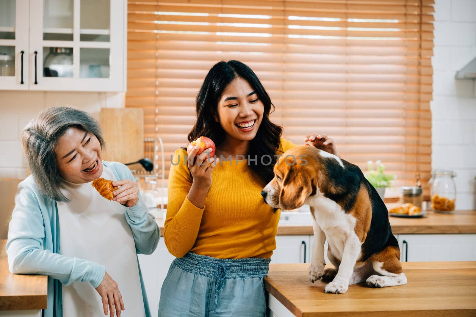 At home in the kitchen, a young Asian woman, her mother, and their beagle dog share a moment of happiness and playfulness. This image beautifully portrays the concept of family and pet companionship. by Sorapop