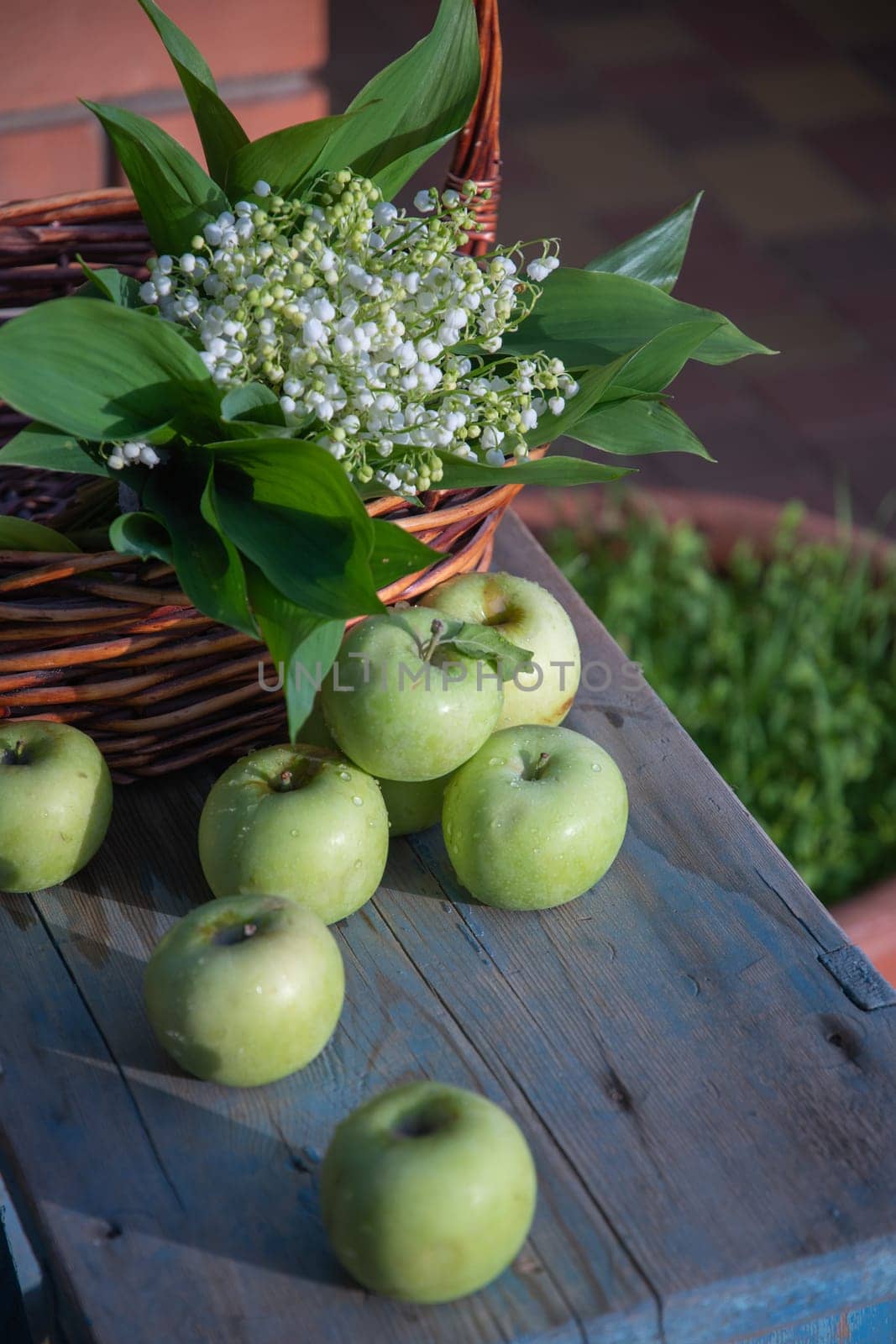 still life in a rustic style with a basket of lilies of the valley and green apples on a wooden bench in the village, spring background with delicate flowers, High quality photo