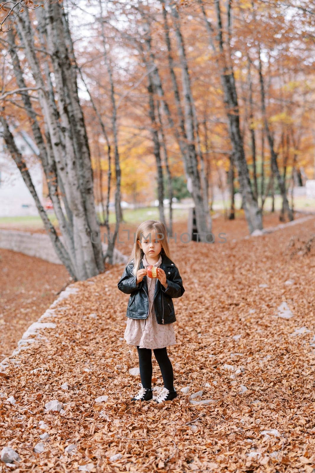 Little girl with an apple in her hand stands thinking in the autumn forest. High quality photo