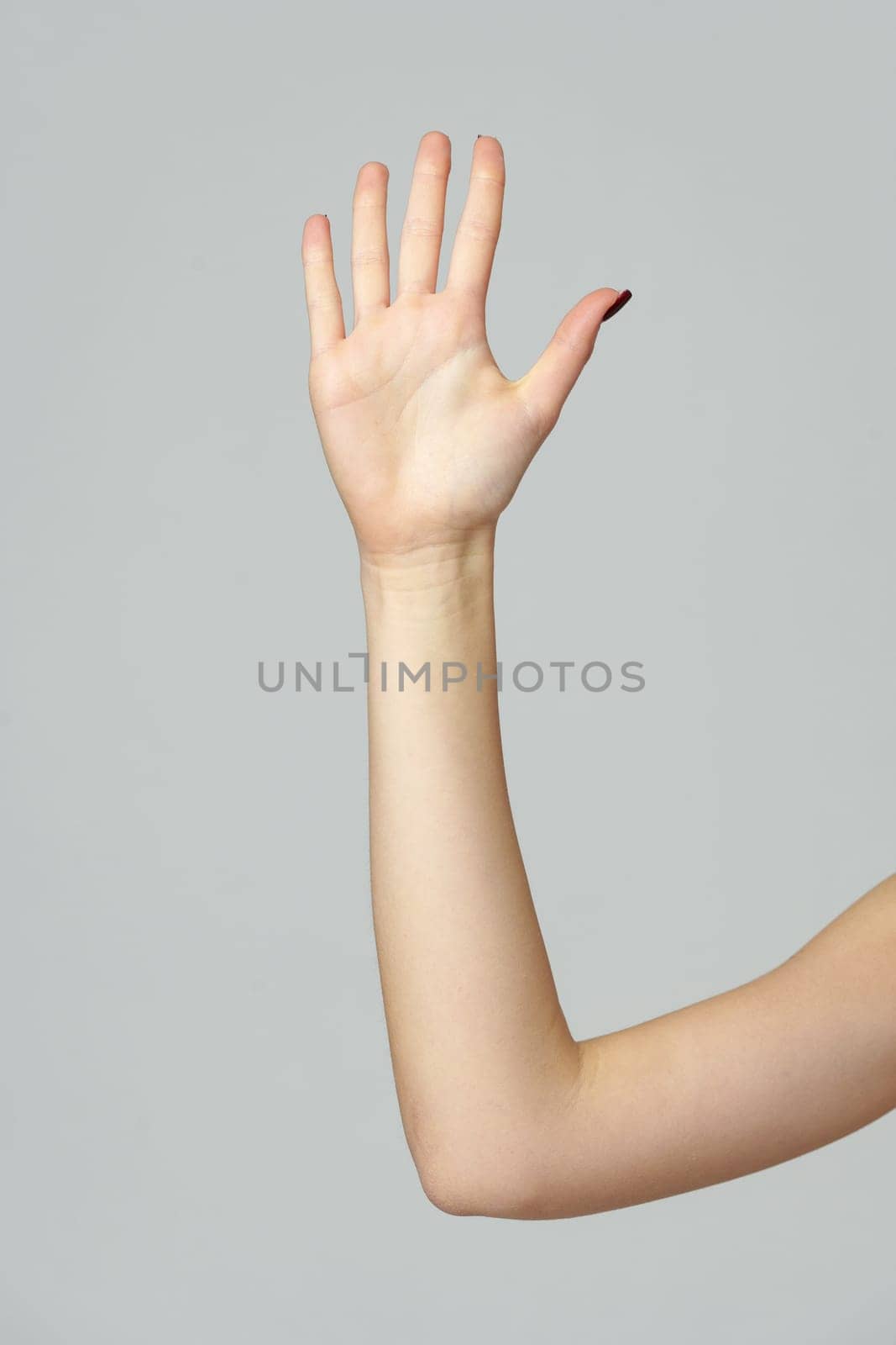 Female hand palm sign on gray background in studio