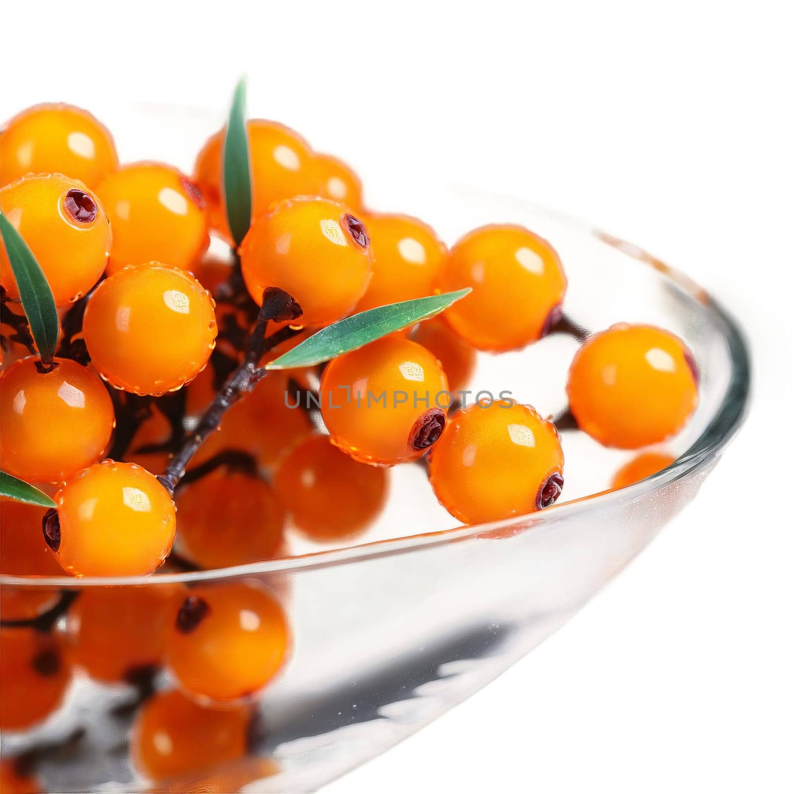 Plump sea buckthorn berries Hippophae rhamnoides gathered in a clear glass bowl their orange glow by panophotograph