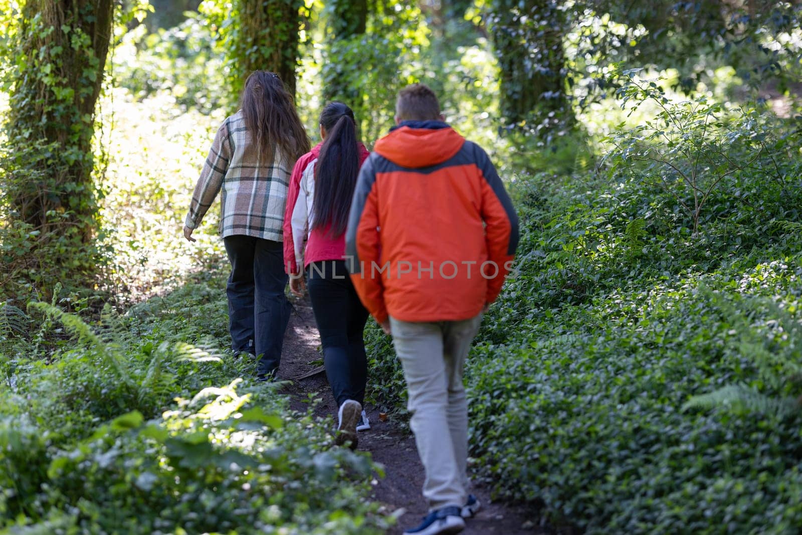 Group of People Walking Down a Path in the Woods by Studia72
