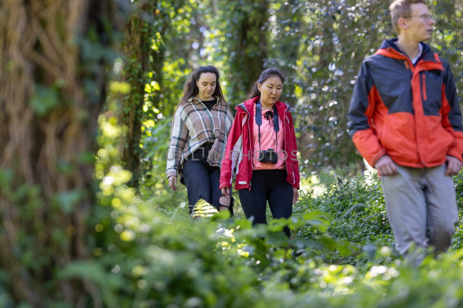 A group of friends is seen walking through a dense forest, surrounded by towering trees and the sounds of nature. Sunlight filters through the canopy above, casting dappled light on the forest floor as the group makes their way along a winding trail.