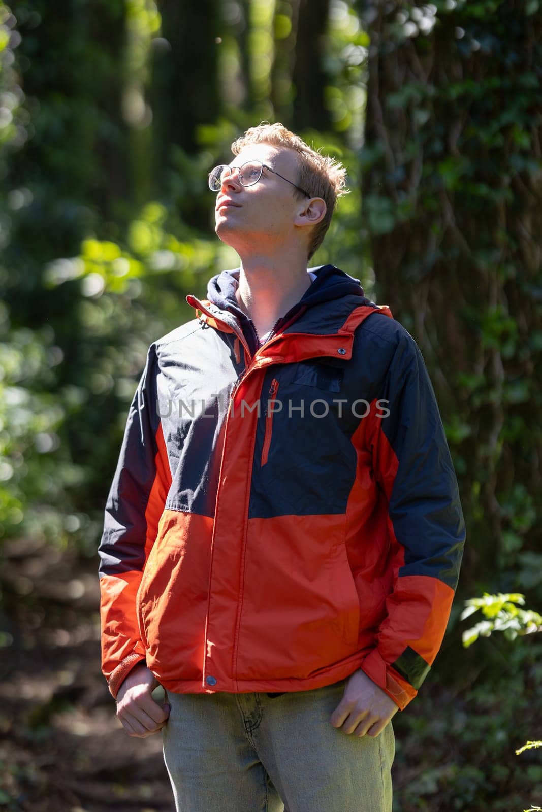 Man Standing in Woods Looking Up at Sky by Studia72