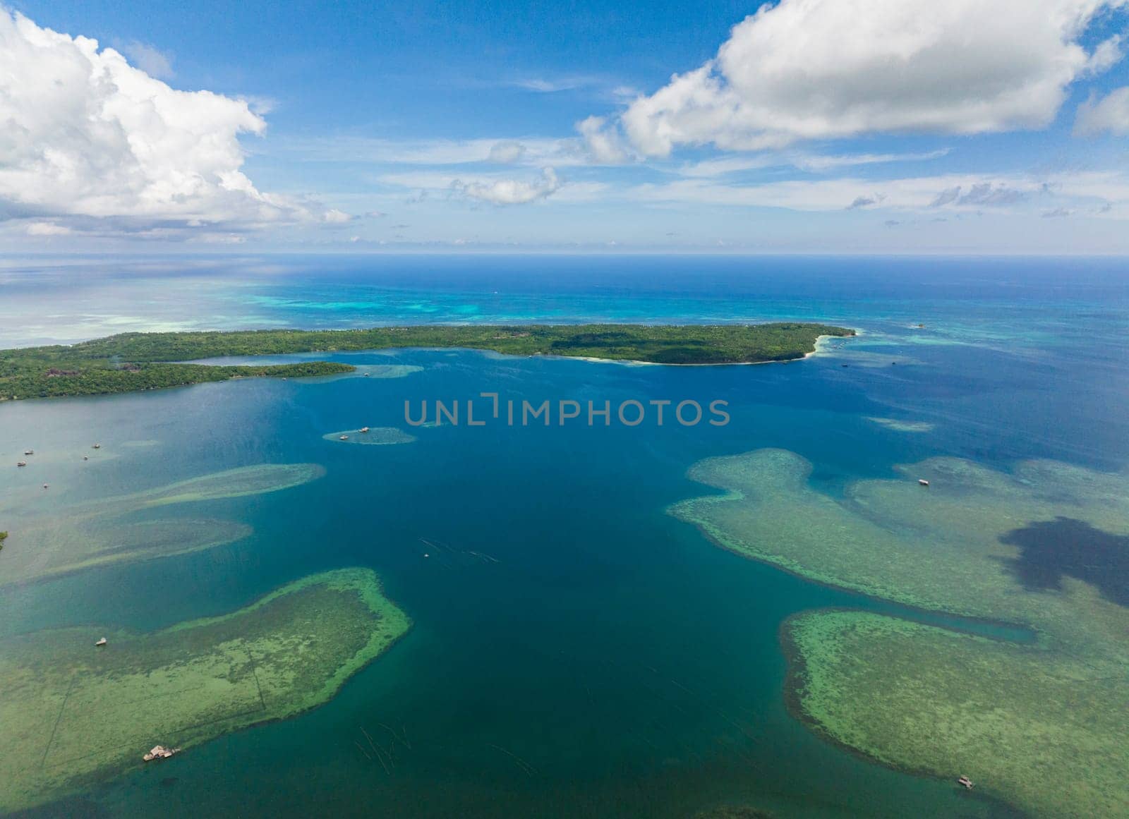 Aerial drone of rainforest and jungle on the coast of the island. Balabac, Palawan. Philippines.