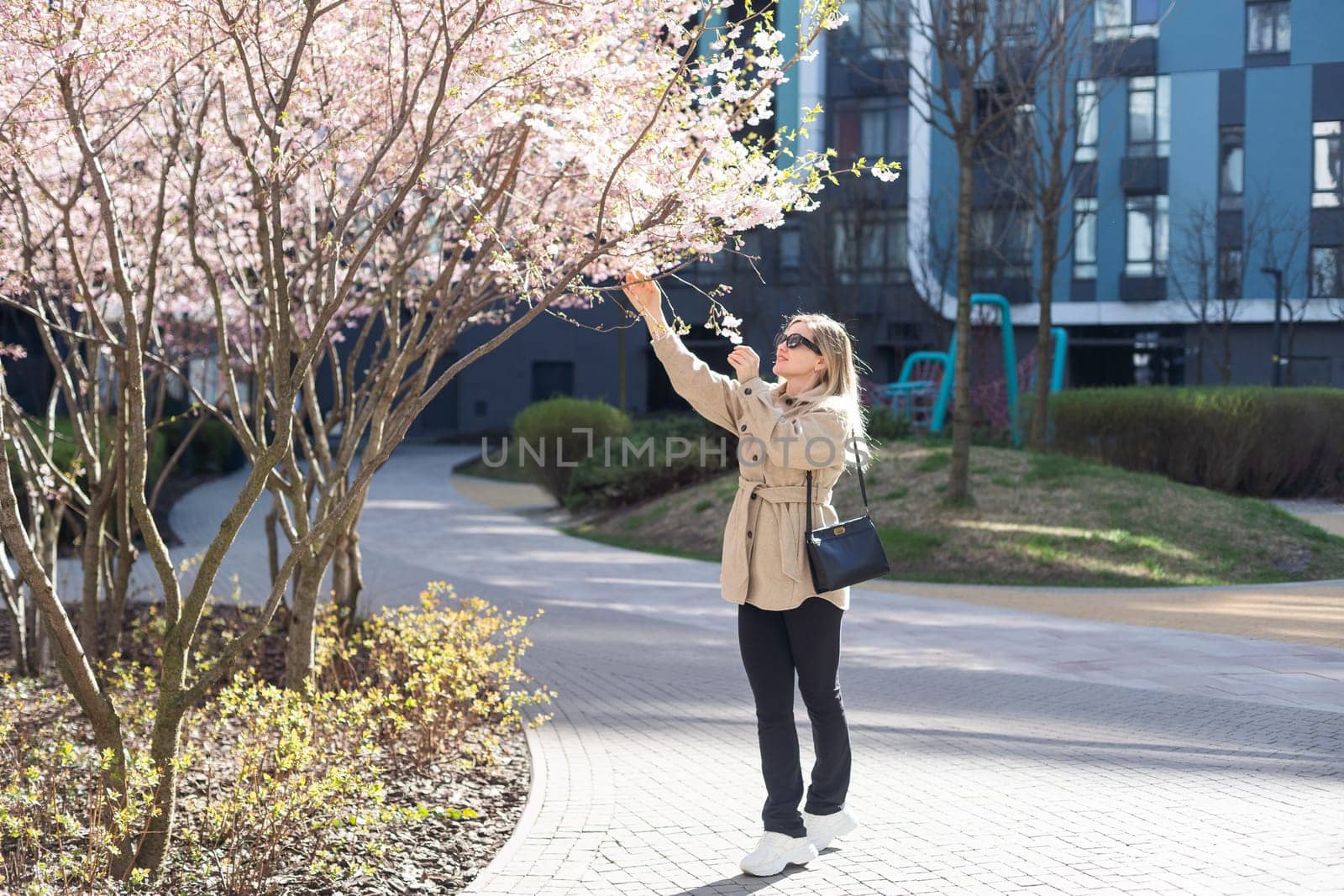 Sakura branches with flowers on a tree on the city streets. Happy woman girl in a gray palette walks along an alley with blooming sakura. Gorgeous fancy girl outdoors. Sakura tree blooming. High quality photo