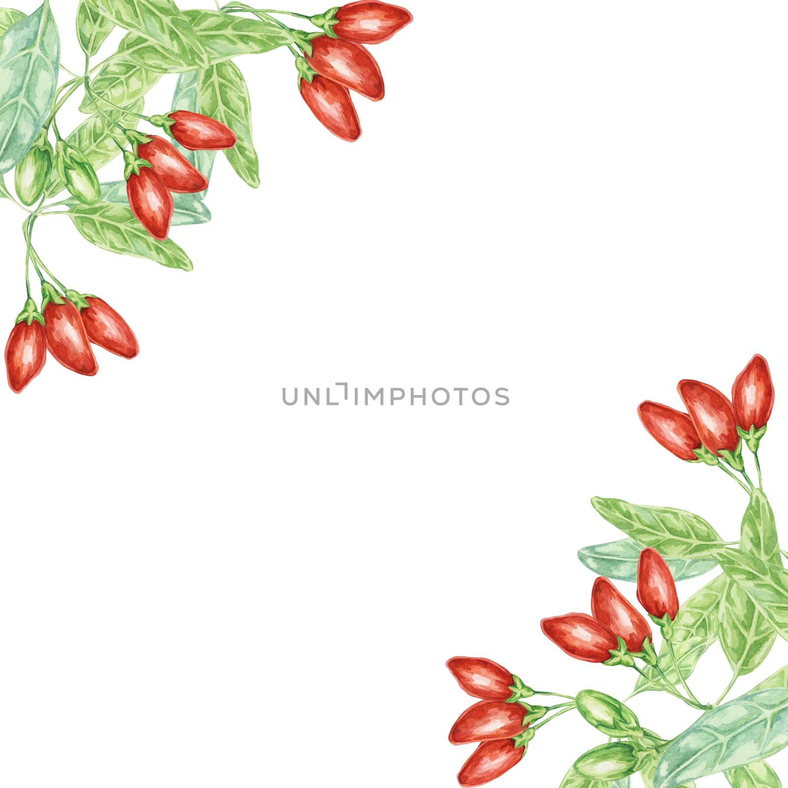 Red goji berries and green leaves corner frame design. Hand-drawn watercolor illustration for DIY printing, greeting card making, quote, gift tag, label, invitation, postcard, square flyer template