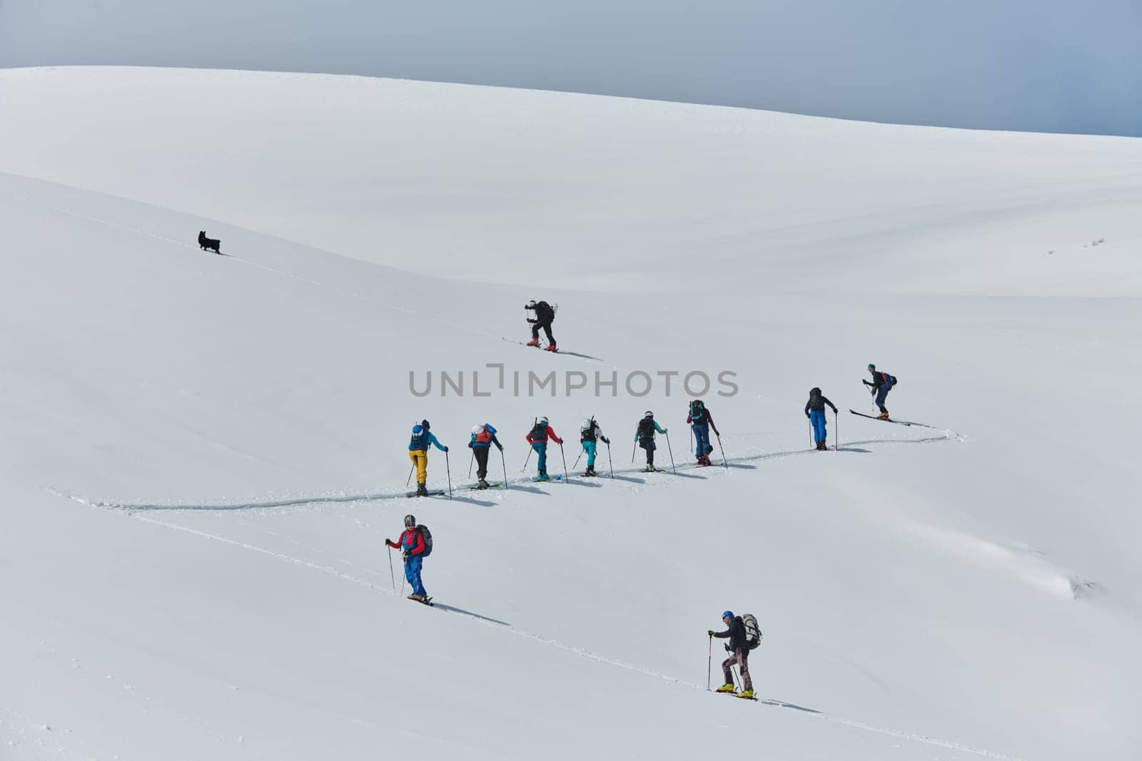 A group of professional ski mountaineers ascend a dangerous snowy peak using state-of-the-art equipment.