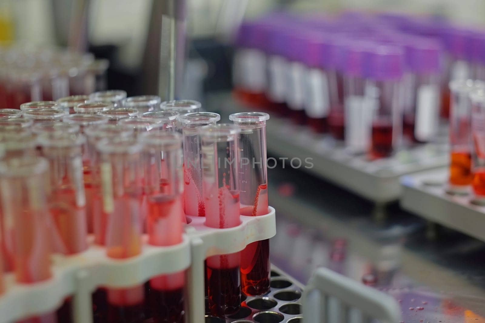 A close-up view of multiple blood-filled test tubes organized in a laboratory rack, representing medical testing, research, and analysis.