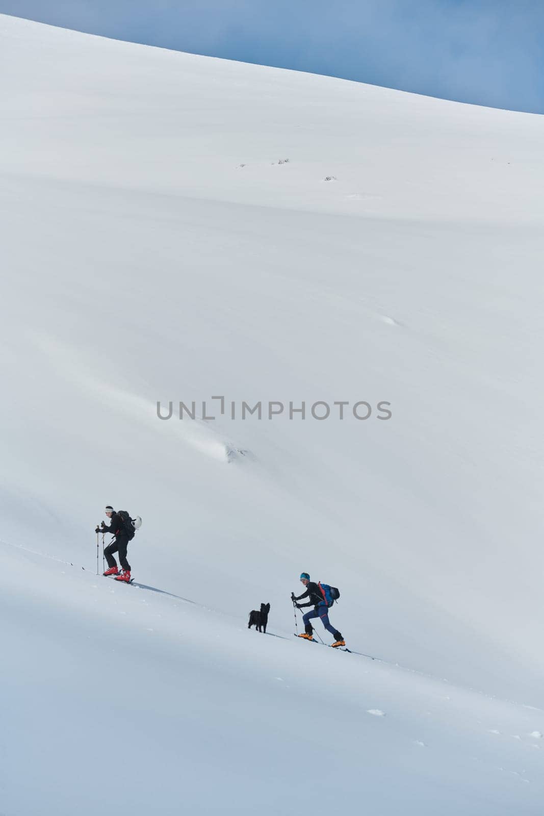 In a display of unwavering teamwork and determination, two professional skiers ascend the snow-capped peaks of the Alps, united in their quest for the summit.