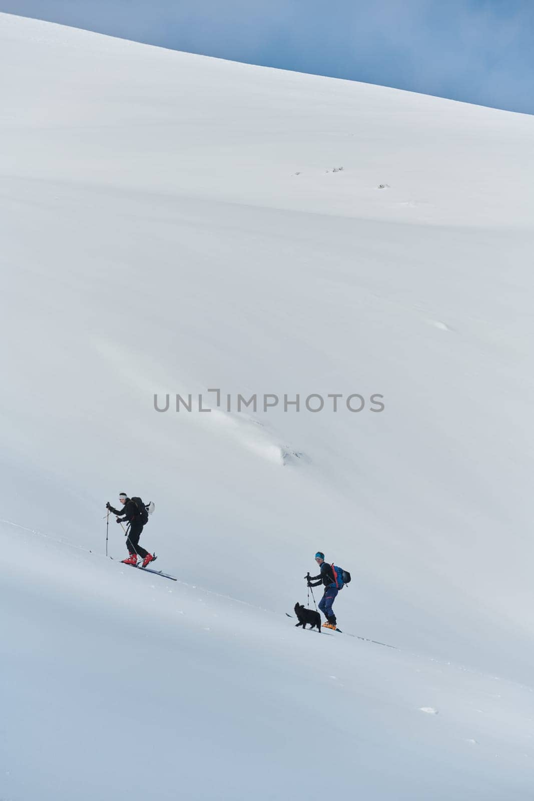 In a display of unwavering teamwork and determination, two professional skiers ascend the snow-capped peaks of the Alps, united in their quest for the summit.