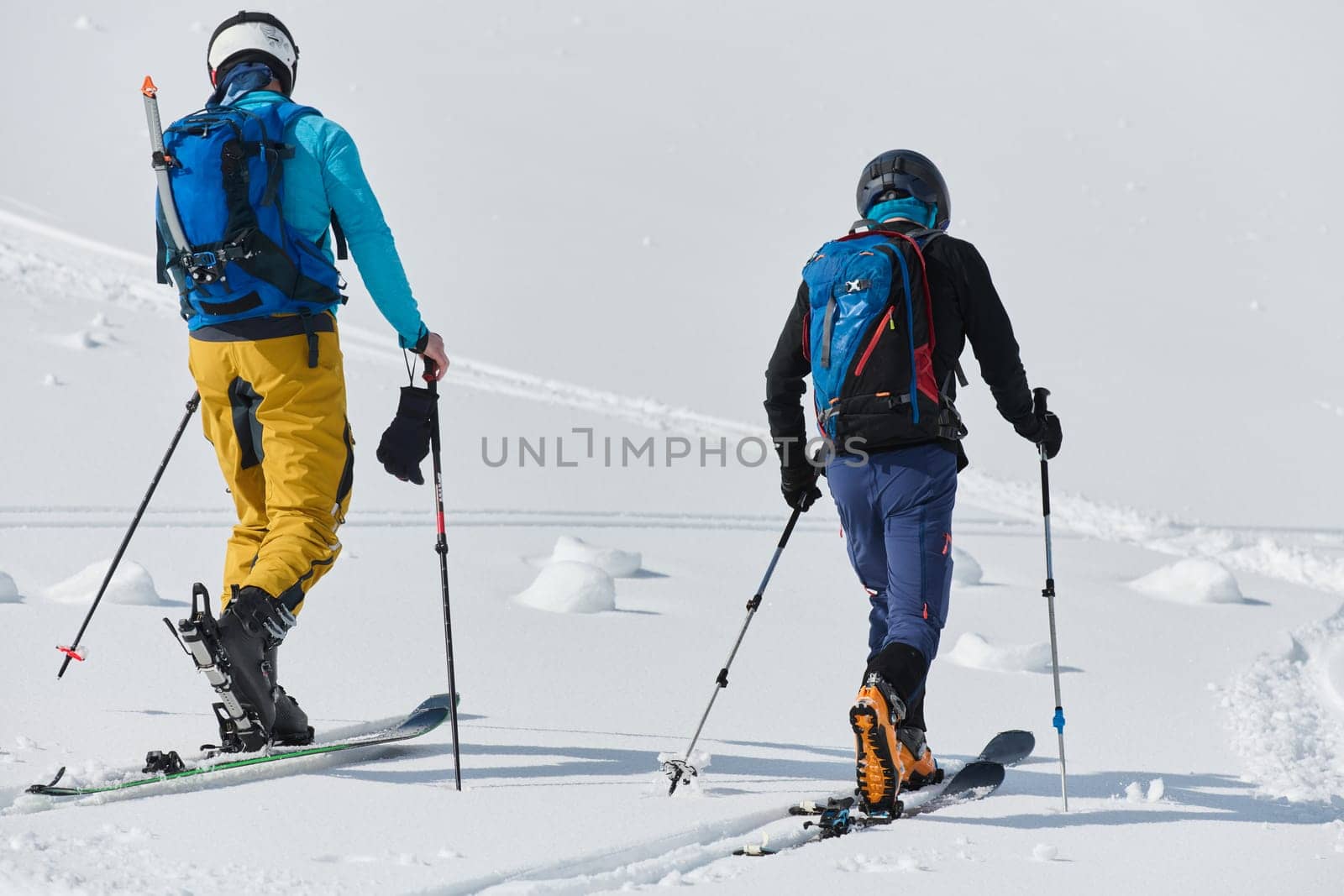 Alpine Ascent: Two Professional Skiers Conquer Snowy Peaks as a Determined Team. by dotshock