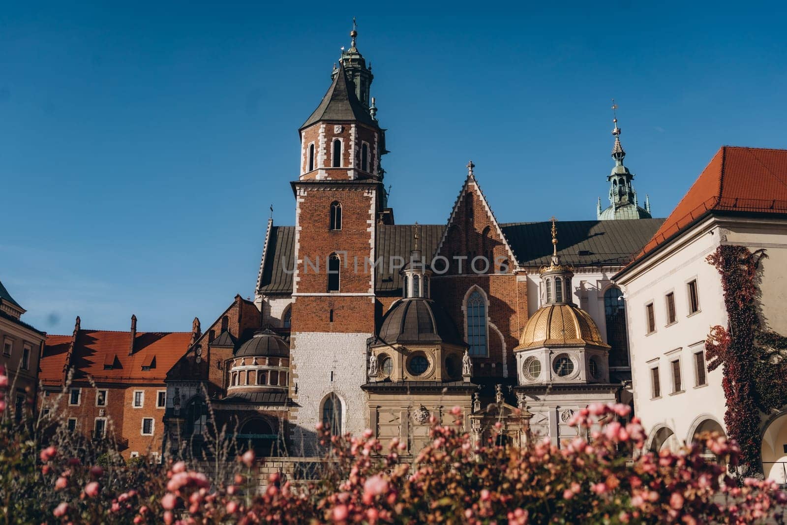 Autumn view of garden with roses and Wawel Royal Castle complex in Krakow, Poland