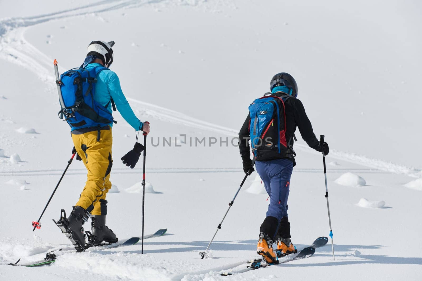 In a display of unwavering teamwork and determination, two professional skiers ascend the snow-capped peaks of the Alps, united in their quest for the summit.