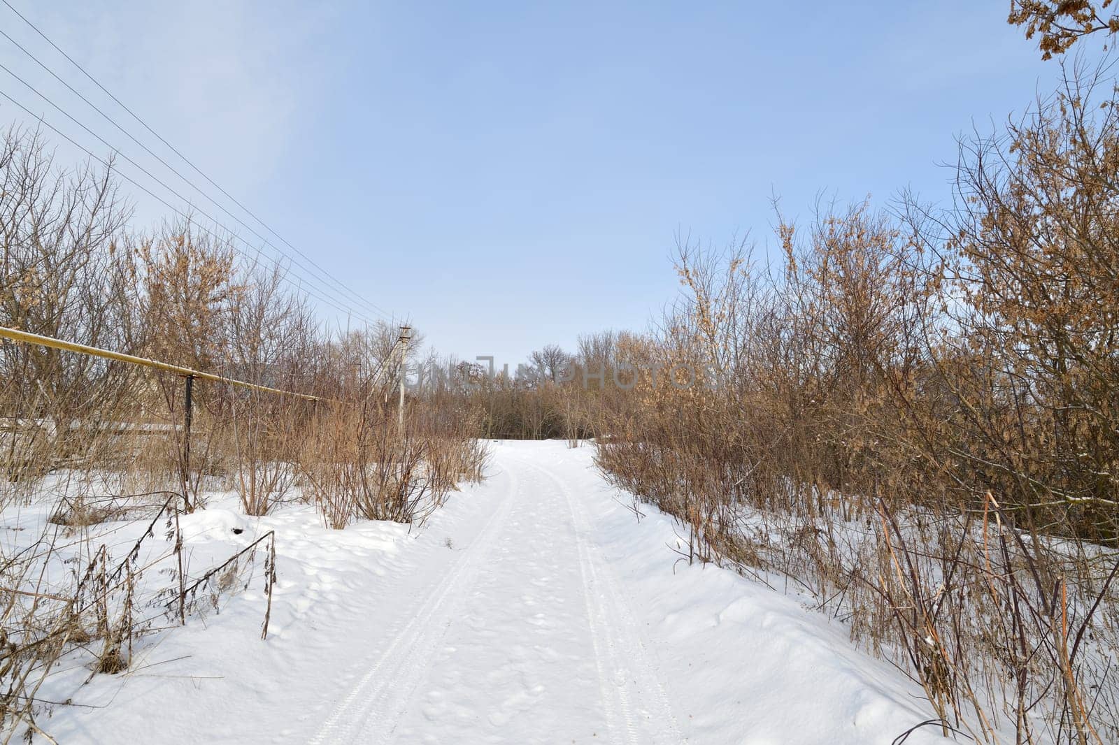 Rural winter road with trees on the sides by olgavolodina