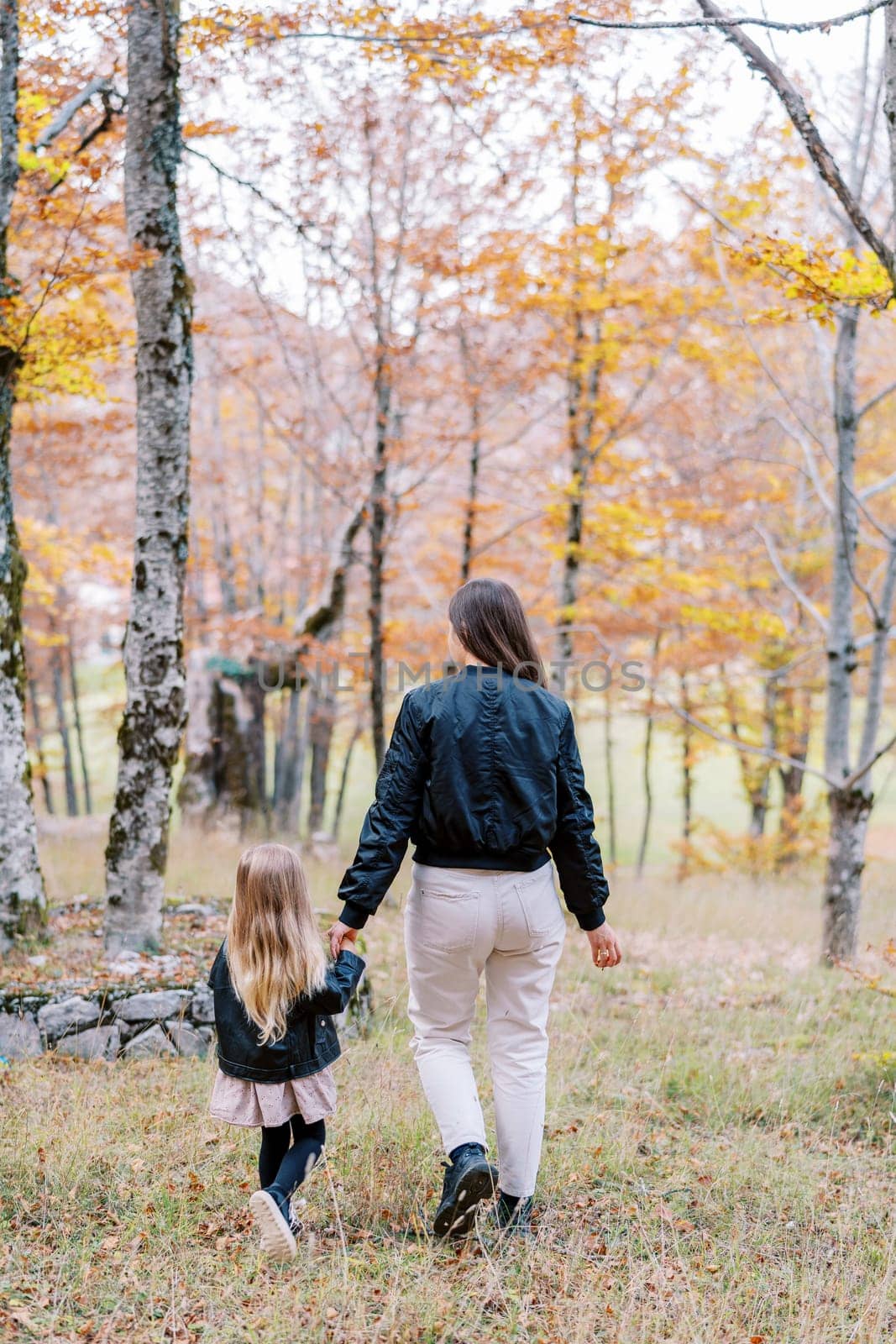 Little girl walks through the autumn forest, holding her mother hand. Back view. High quality photo