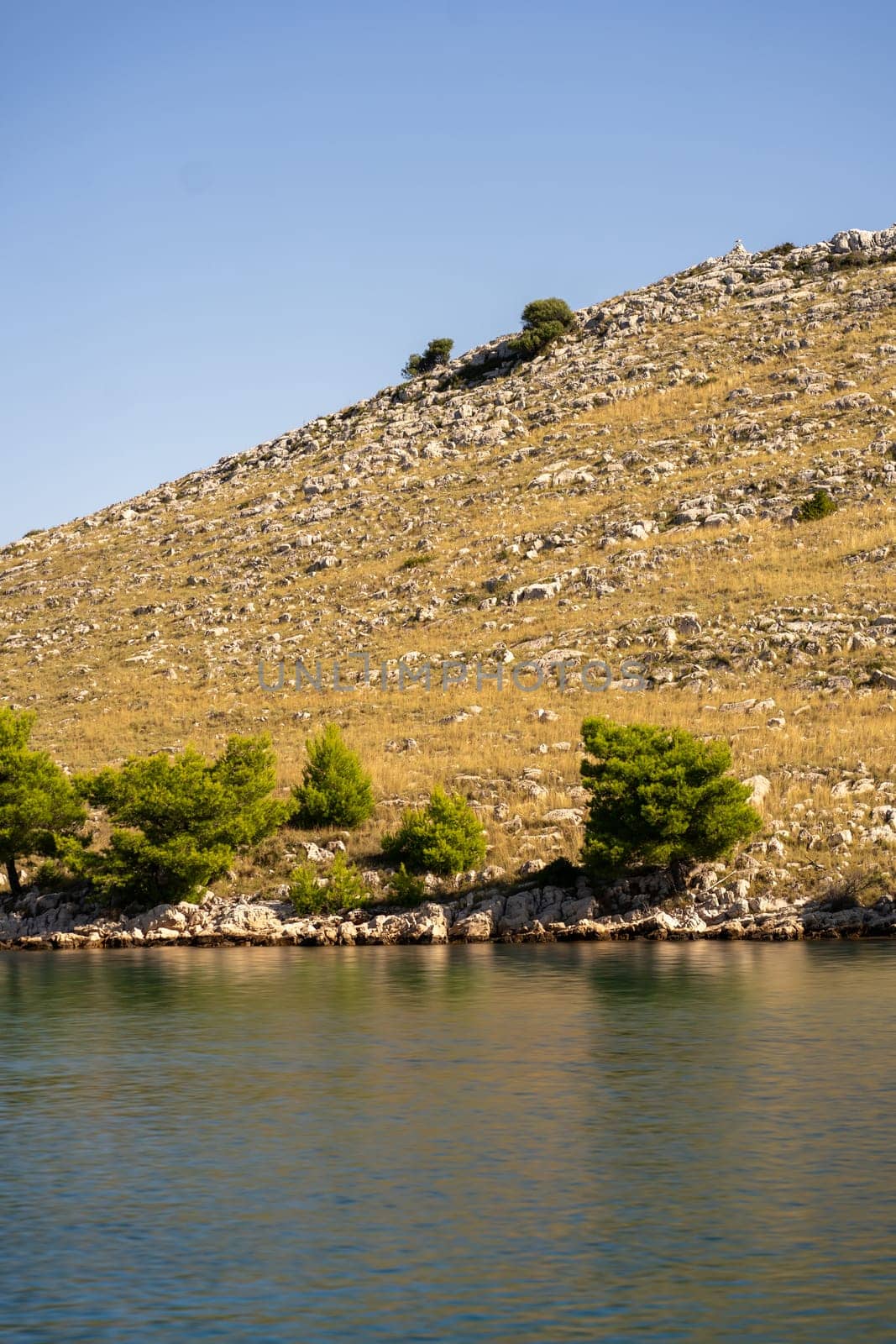 Reflection of rocky shore and bushes in water of Adriatic Sea, Dugi Otok island, Croatia