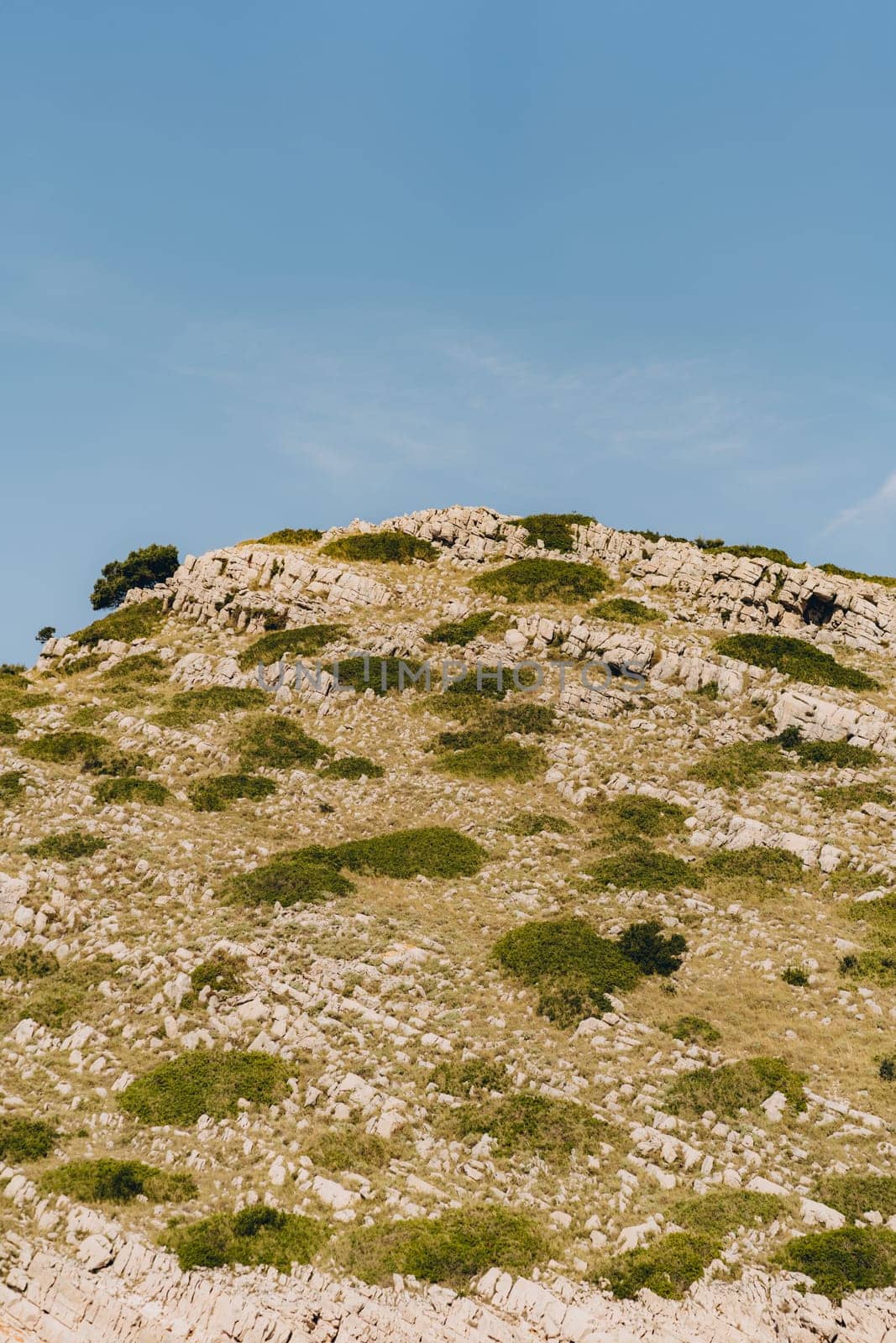 Scenic hill with stones and dry grass, landscape of Dugi Otok island, Croatia by Popov